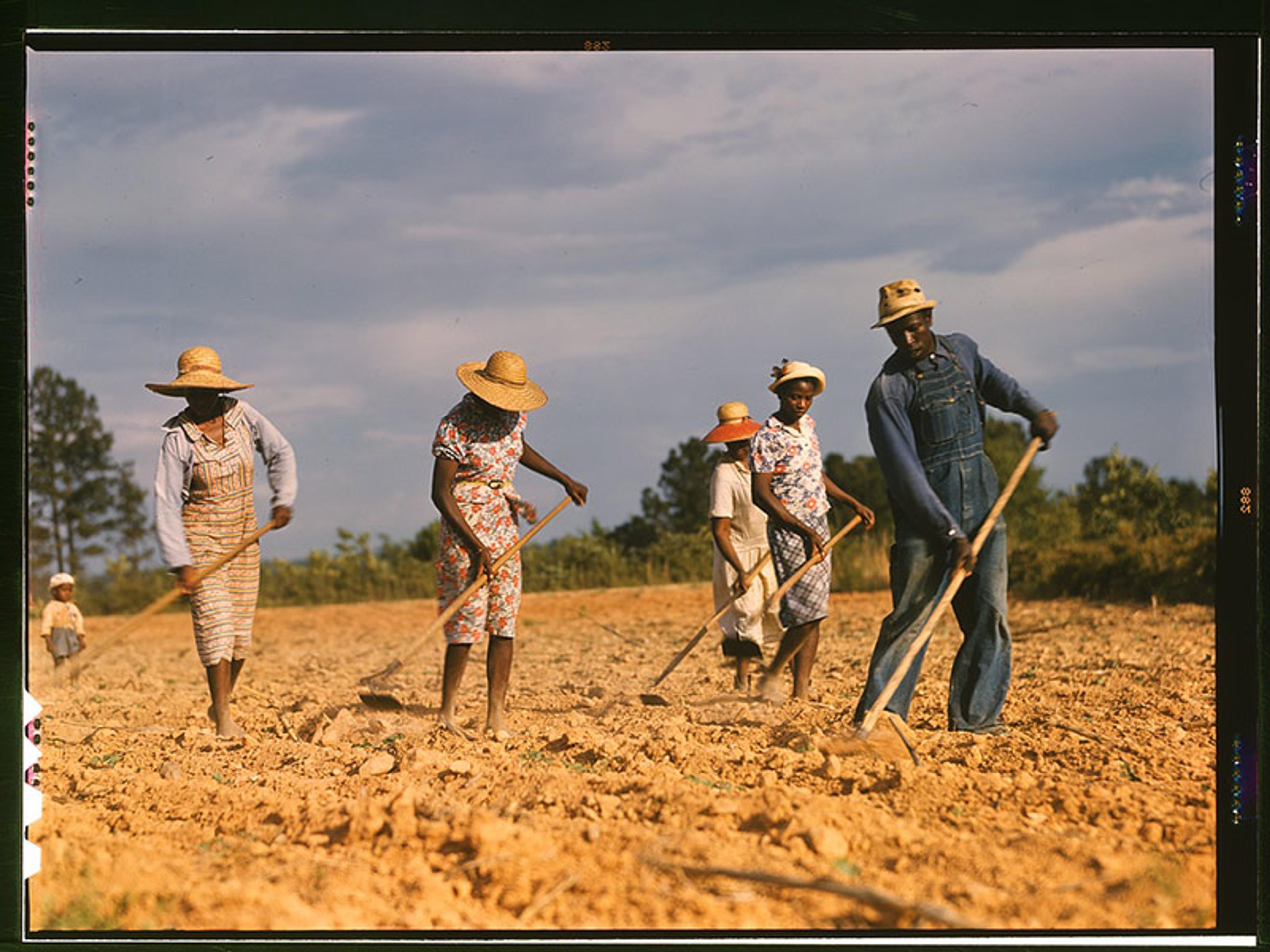 Five people working in a field with hoes, wearing hats and overalls under a partly cloudy sky. Trees are visible in the background.