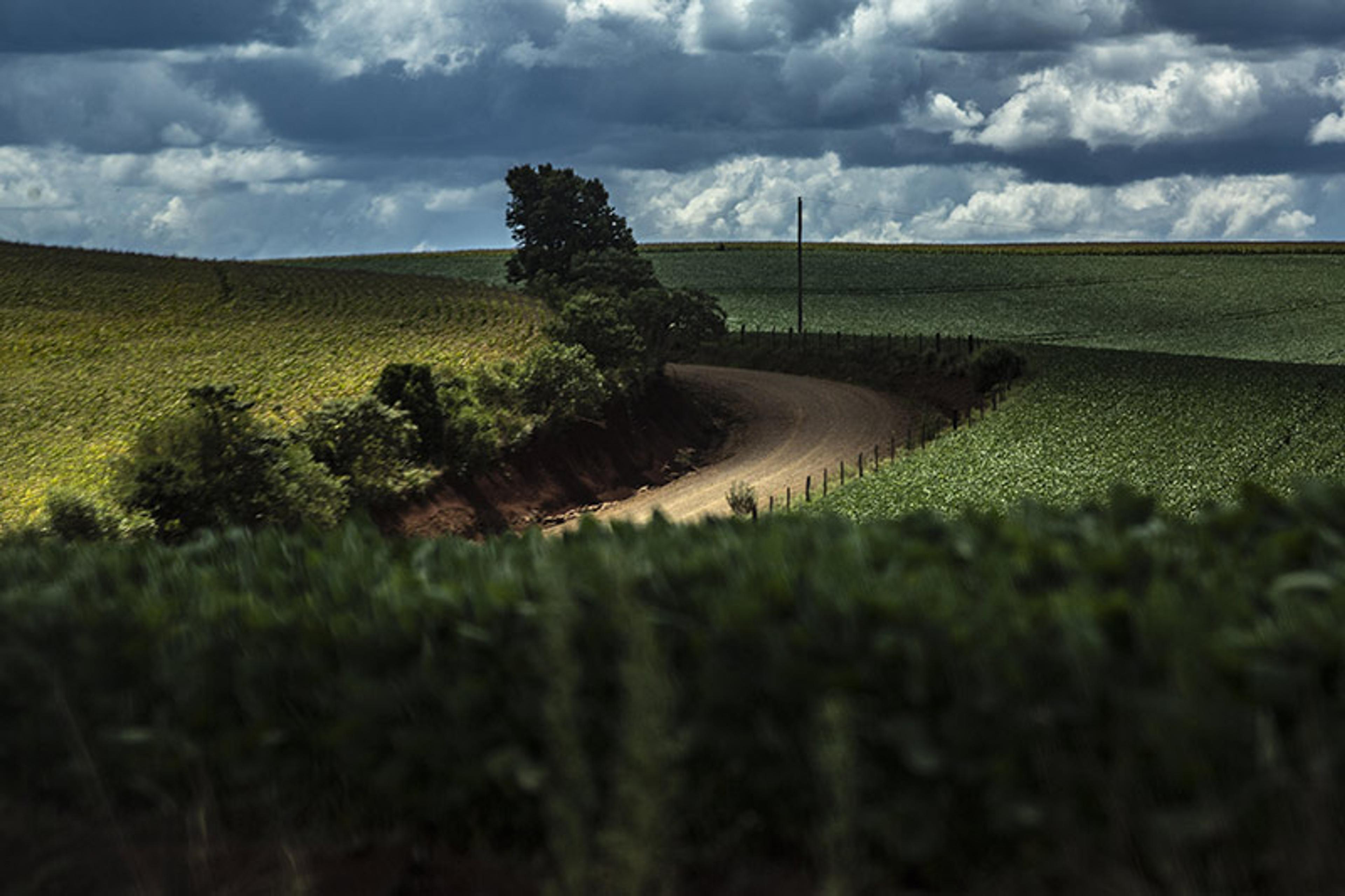 A dirt road winding through green fields and hills under a dramatic, cloudy sky with a few trees along the road.