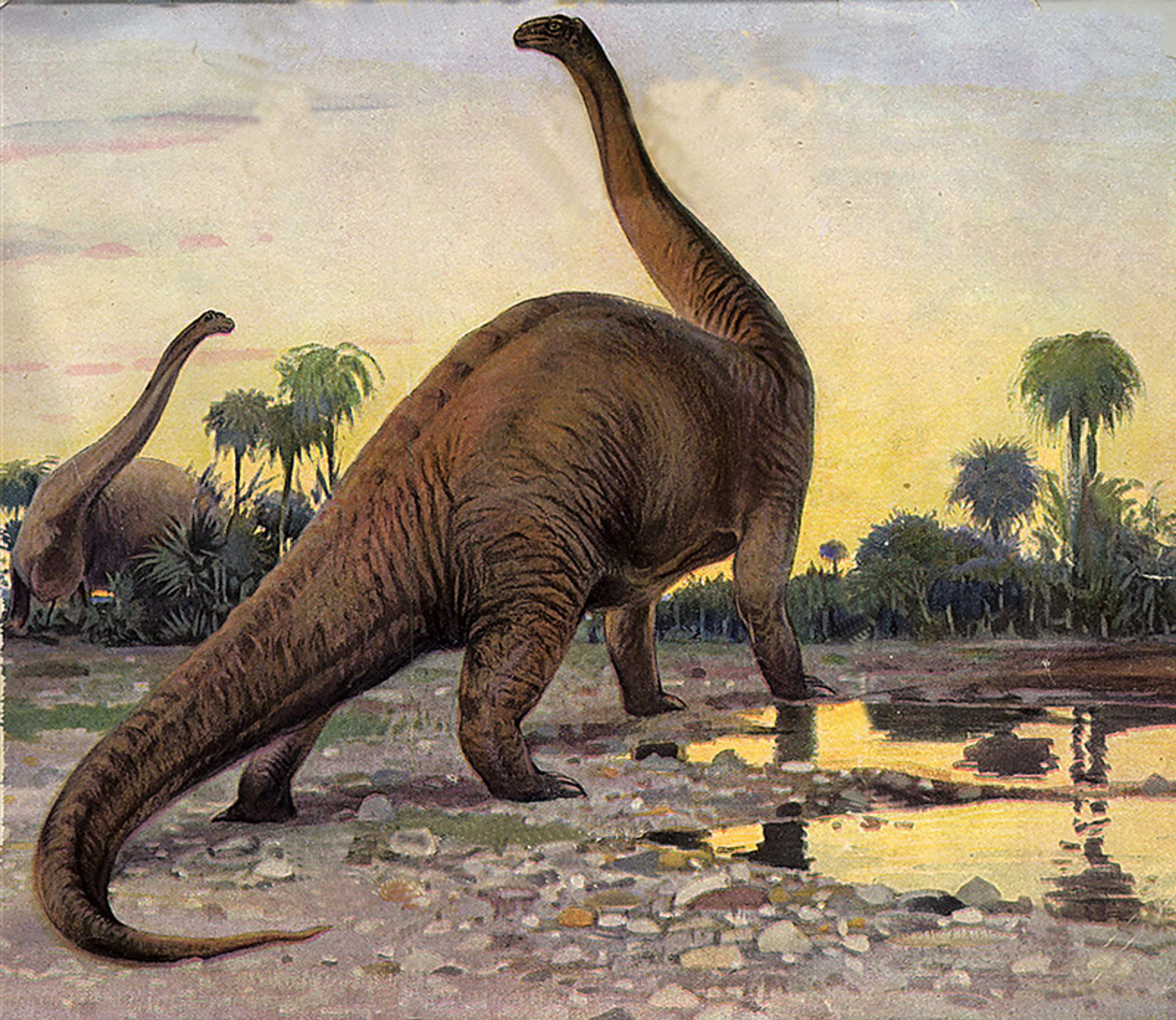 Painting of a long-necked dinosaur near water with another similar dinosaur in the background, surrounded by prehistoric plants.