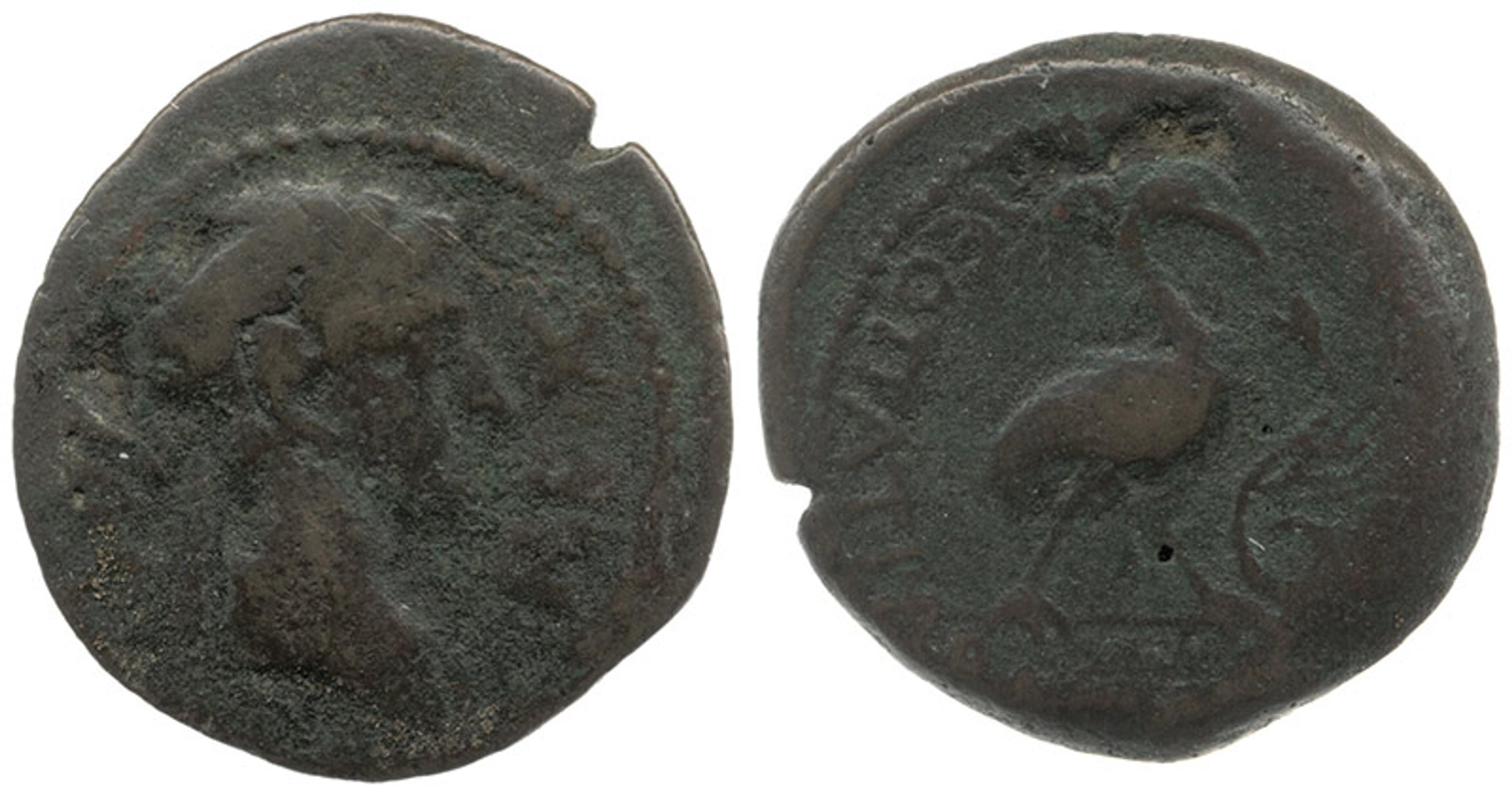 Photo of an ancient coin showing a portrait on one side and a bird with text on the other side.