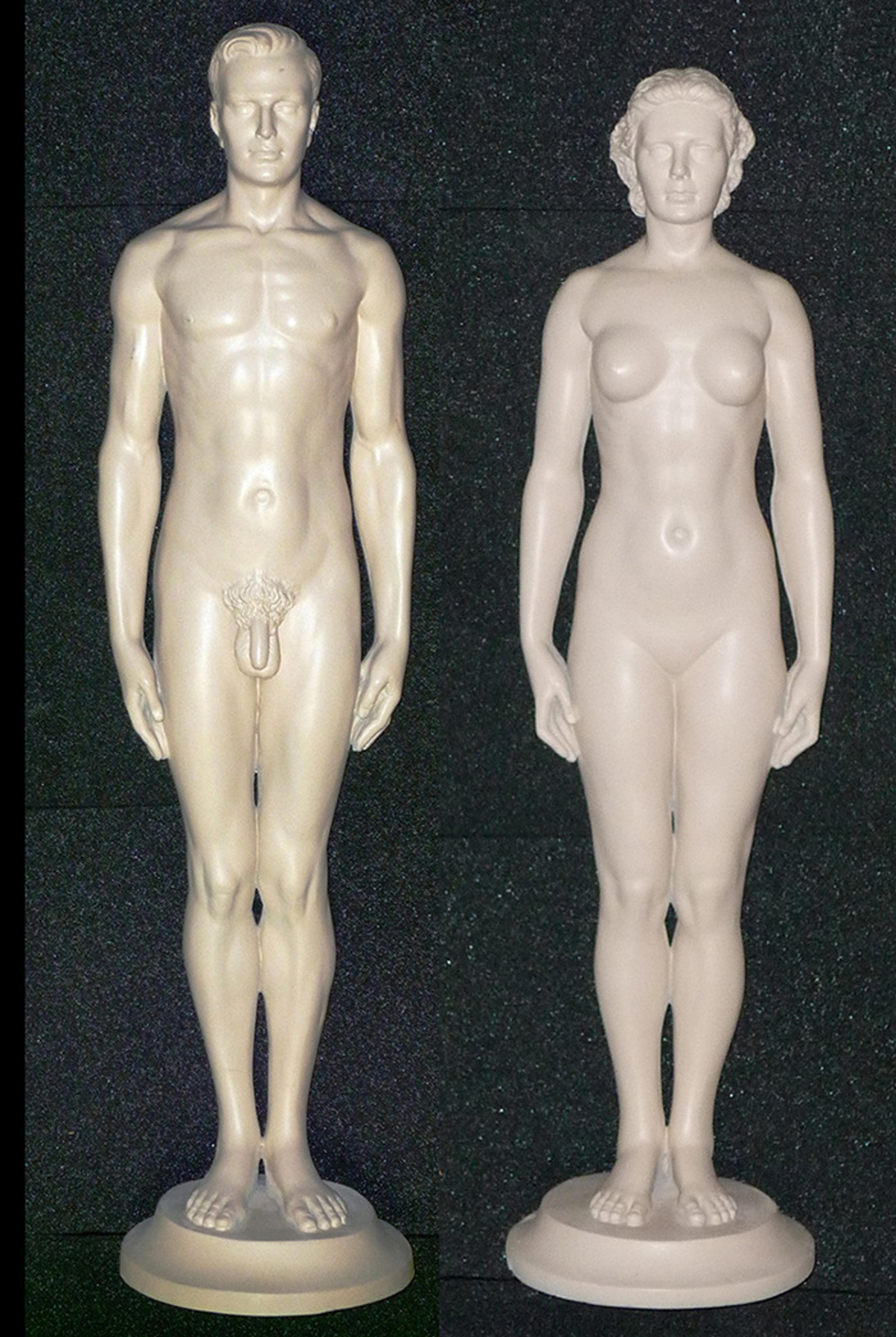 Photo of two beige anatomical human statues, one male and one female, standing on round bases against a dark background.