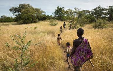A group of people walking in a line through a grassy field with trees around, led by an adult in the distance.