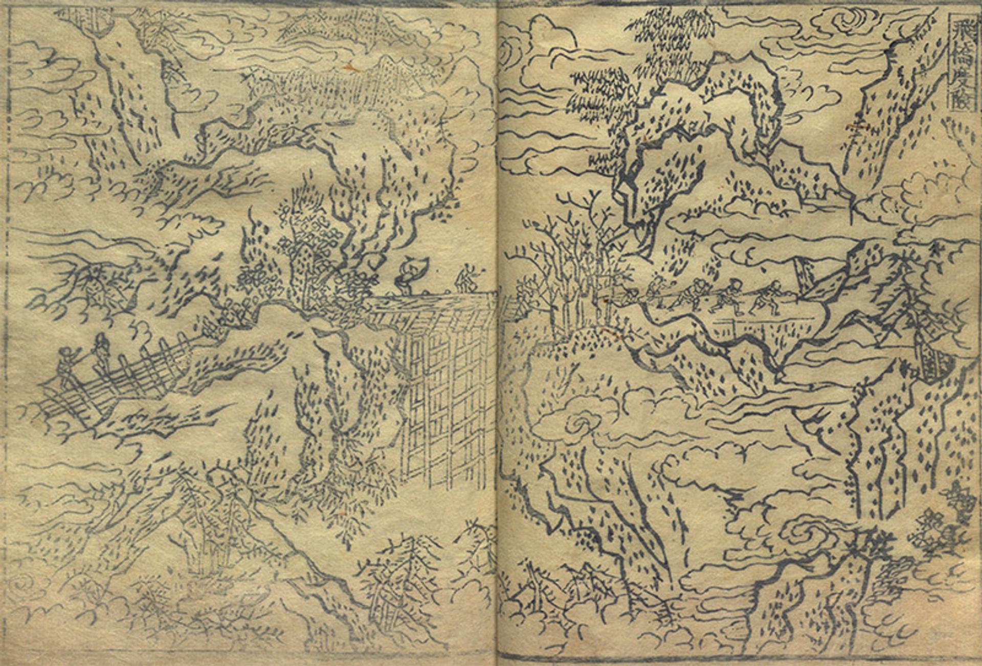 The tree as foot-soldier of Chinese merchants and empires | Aeon Essays