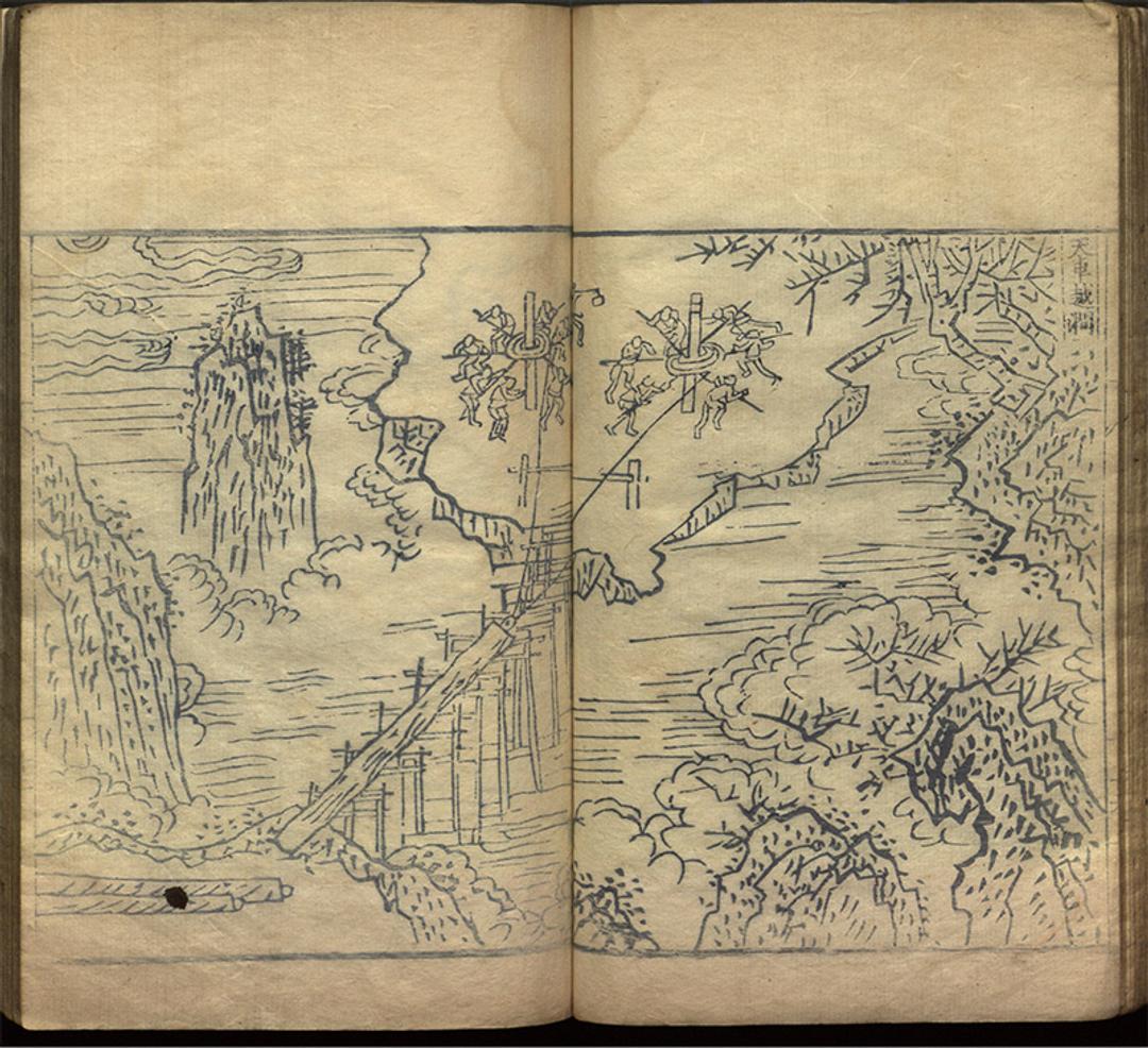 The tree as foot-soldier of Chinese merchants and empires | Aeon Essays