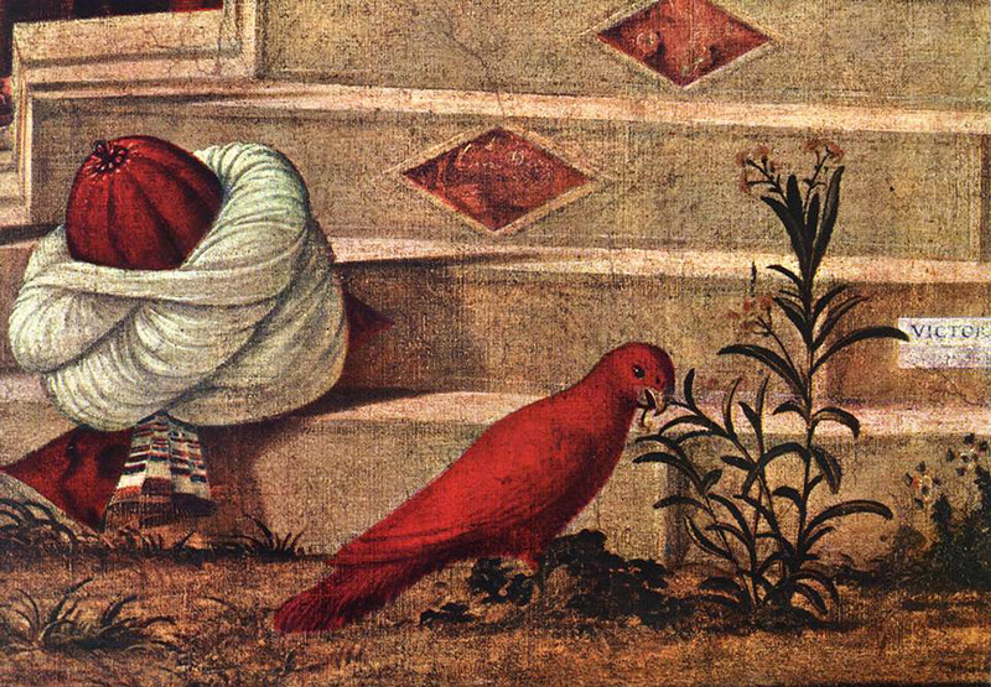 A painting depicting a red bird near a plant with white flowers and a turban of red and white cloth on steps with diamond patterns.