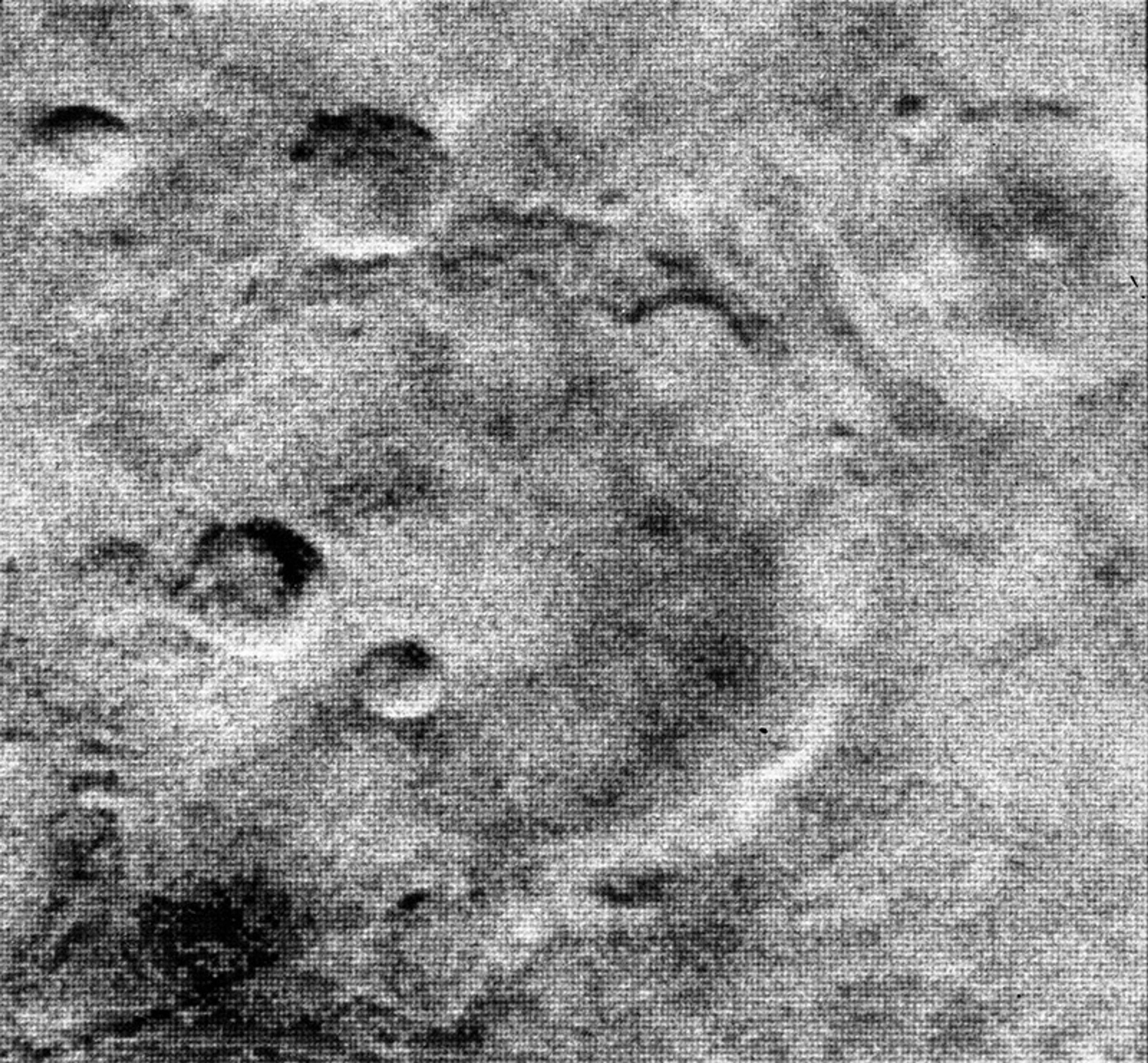 A grainy black-and-white photograph shows a section of the rough cratered surface of the planet Mars