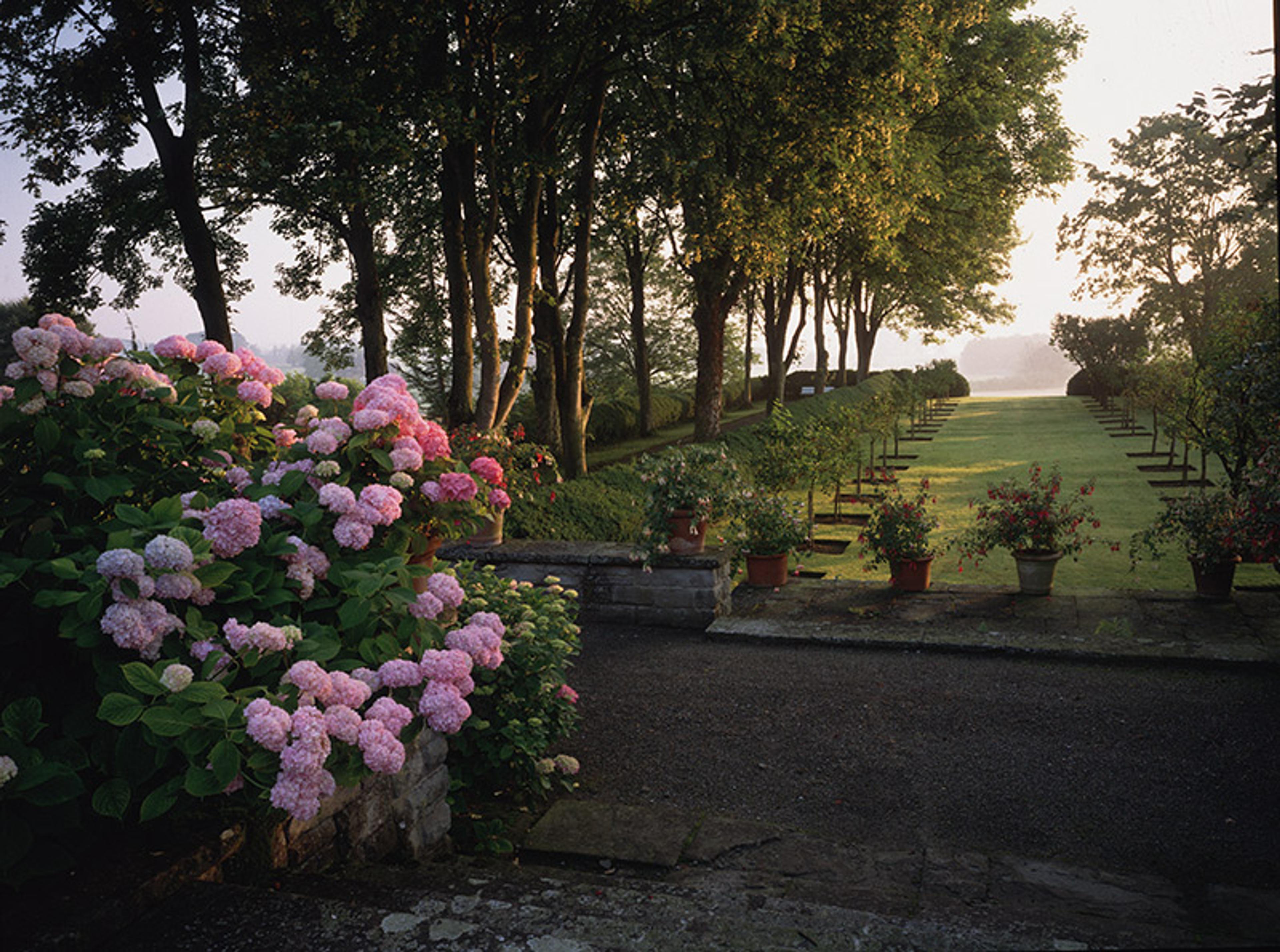 In the foreground pink hydrangeas bloom on a raised terrace above a formal lawn that leads to the distant lakeside. Trees shade the lawn
