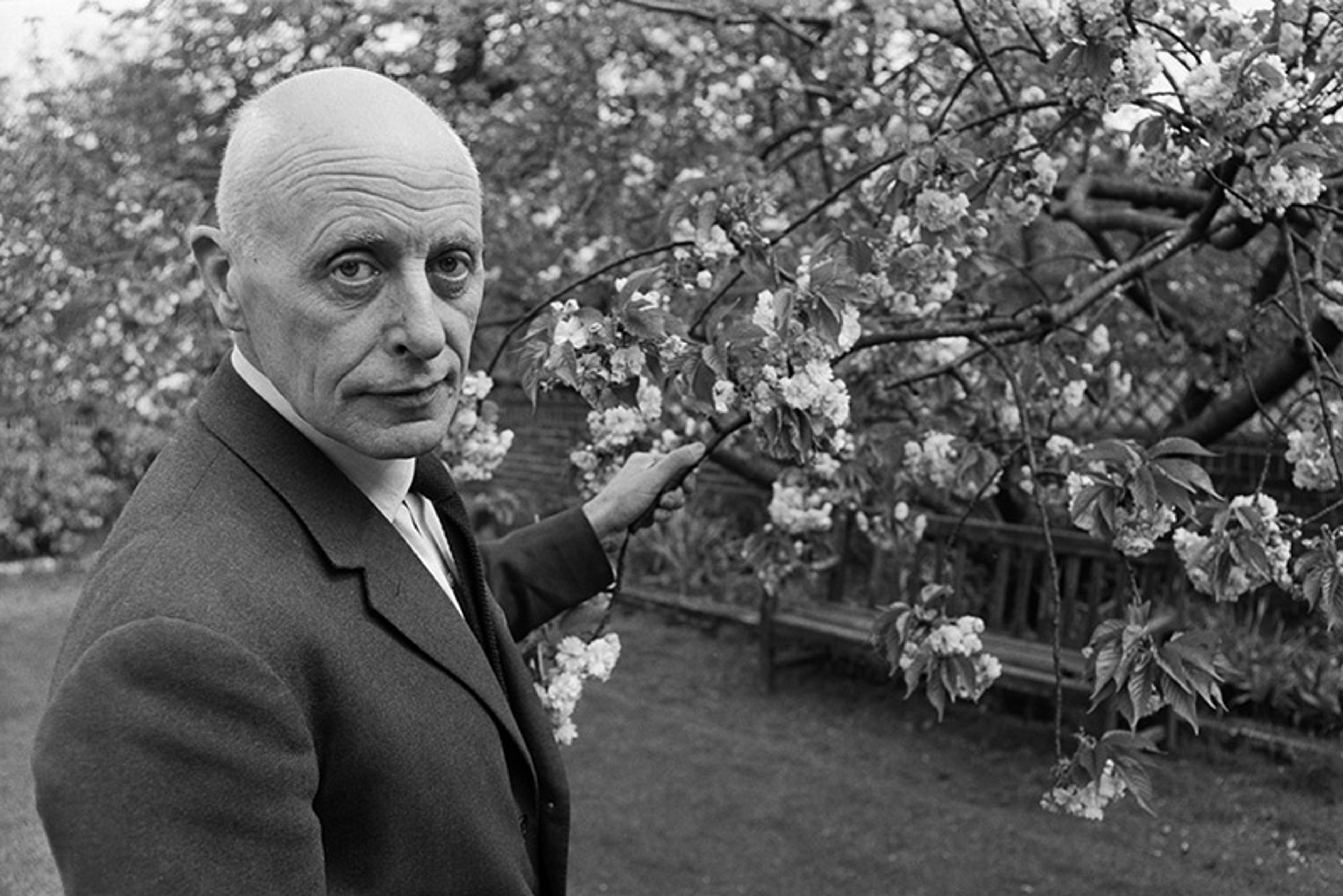Black-and-white photo of an elderly man in a suit touching tree blossoms in a garden, looking directly at the camera.