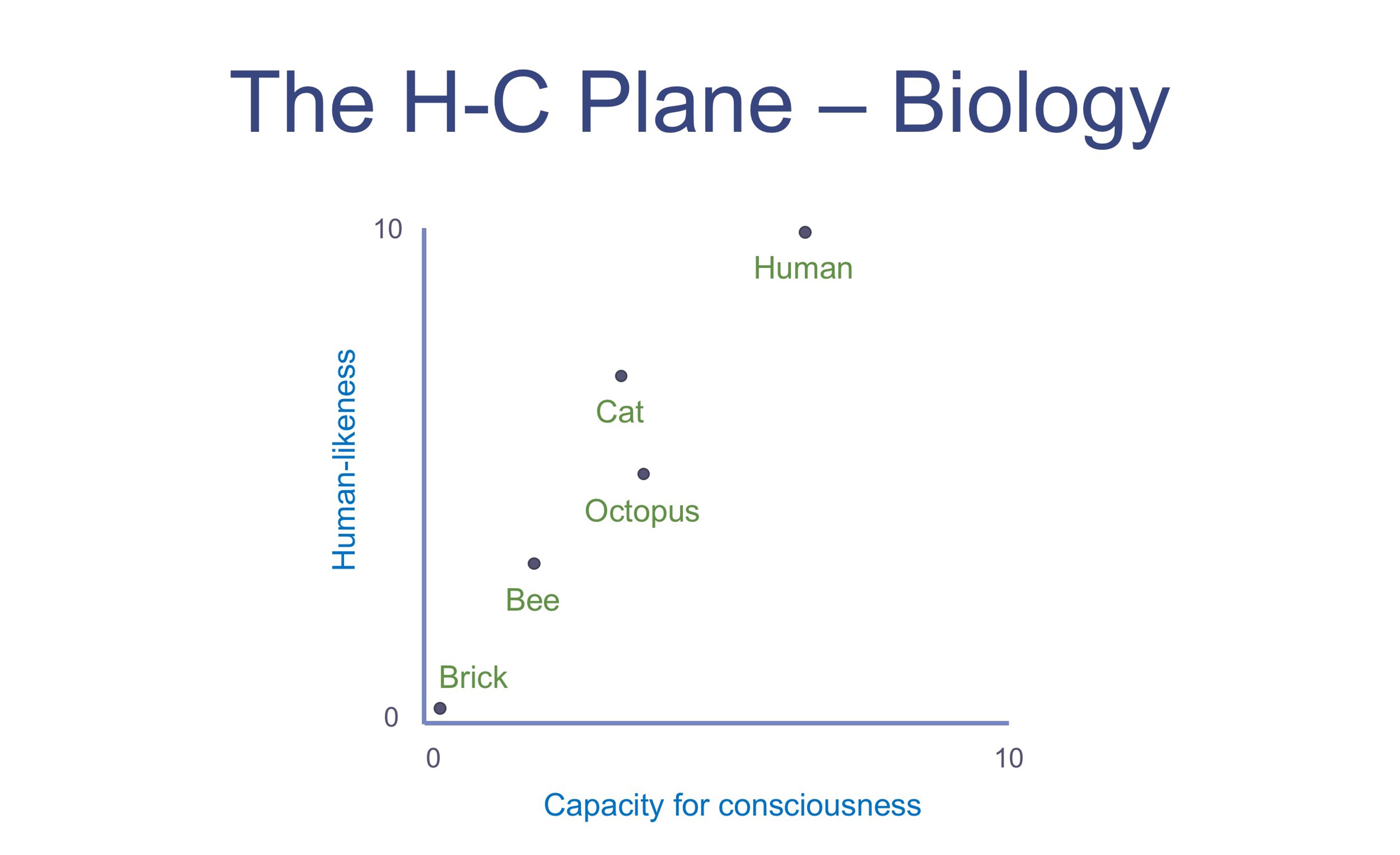 A graph titled “The H-C Plane – Biology” plotting human-likeness vs capacity for consciousness of brick, bee, octopus, cat, and human.