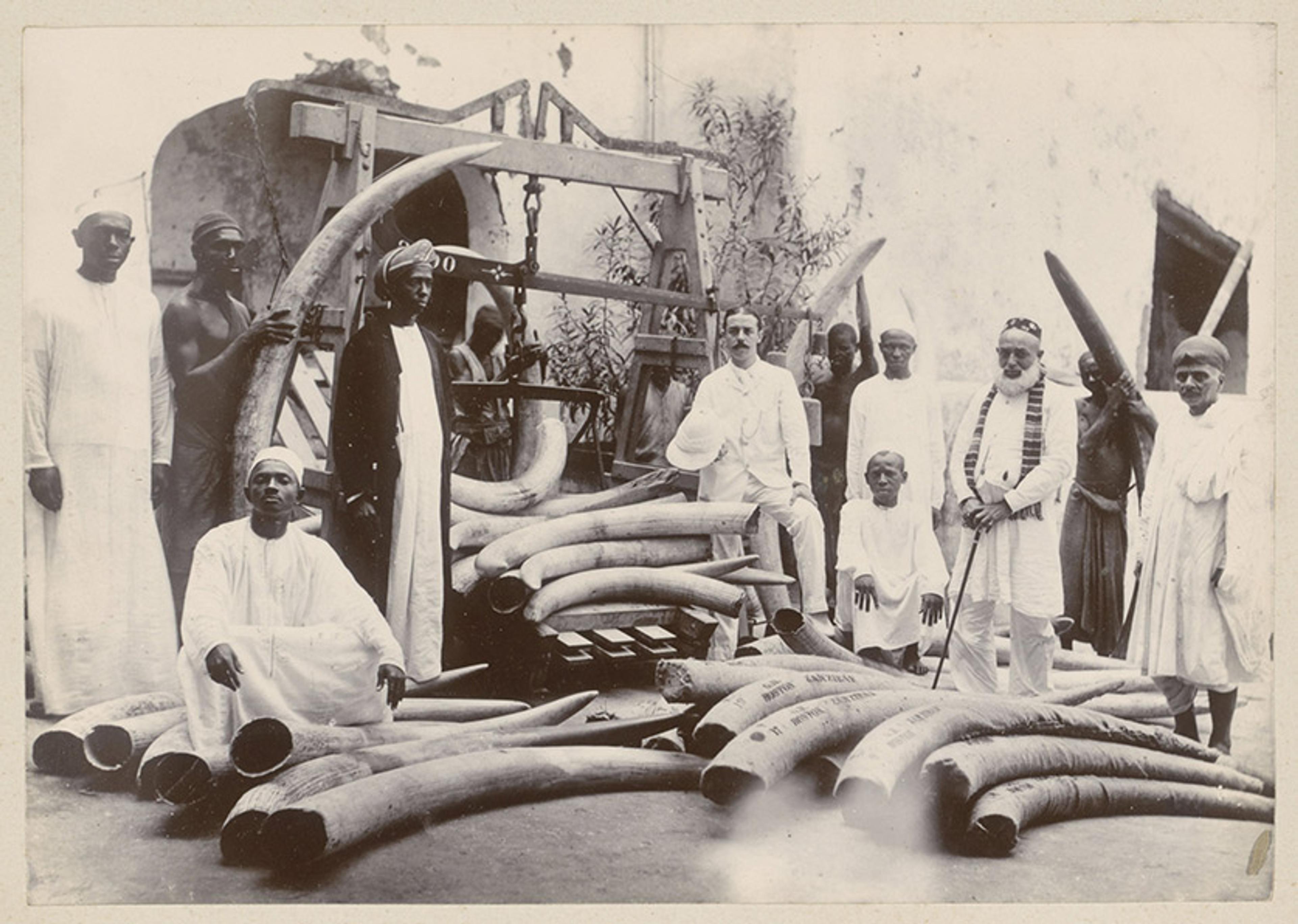 An old photo depicts various traders and people, some possibly enslaved people, beside large quantities of elephant tusks in a courtyard