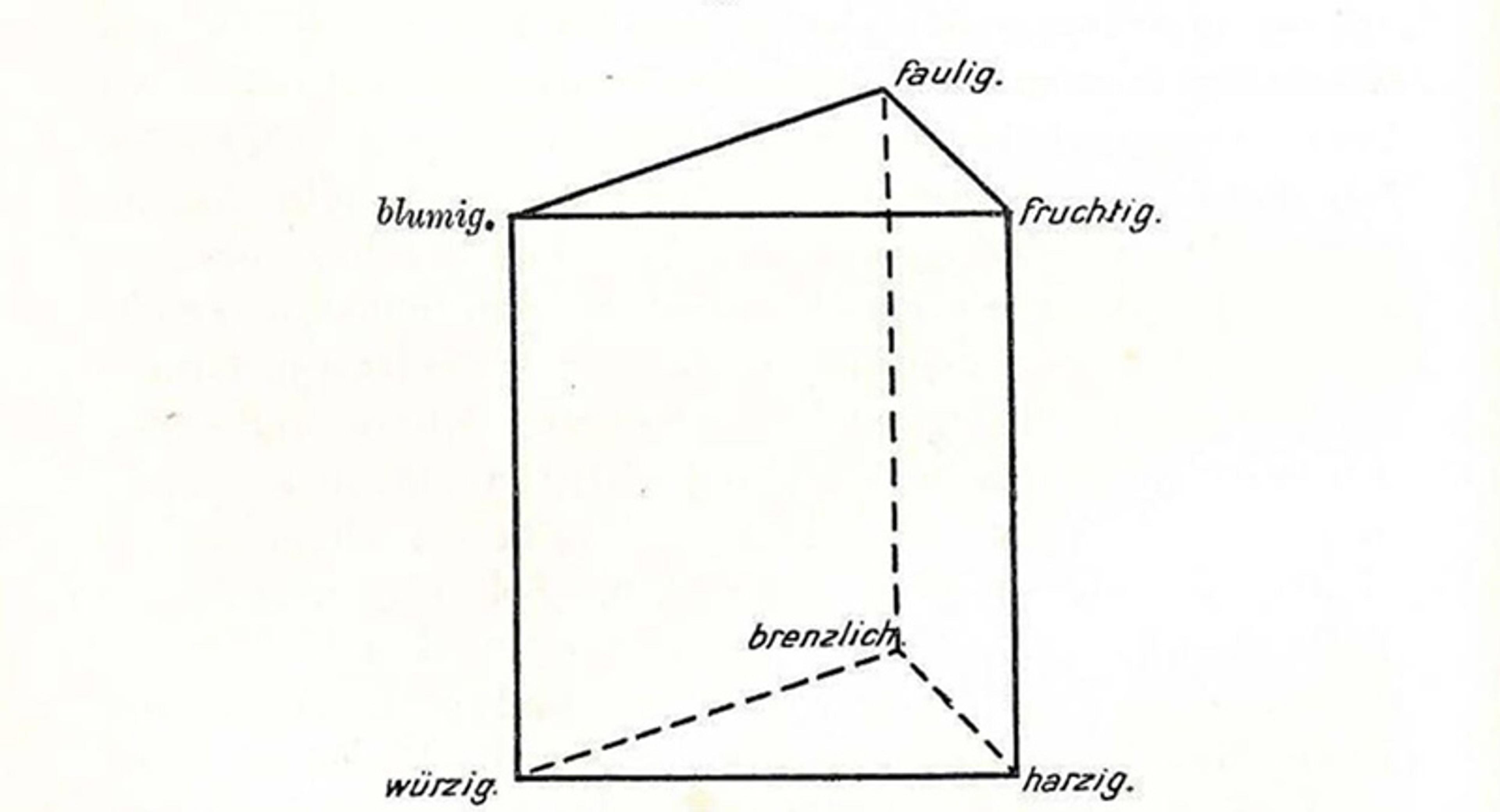 A diagram of a prism, each corner annotated with a German adjective