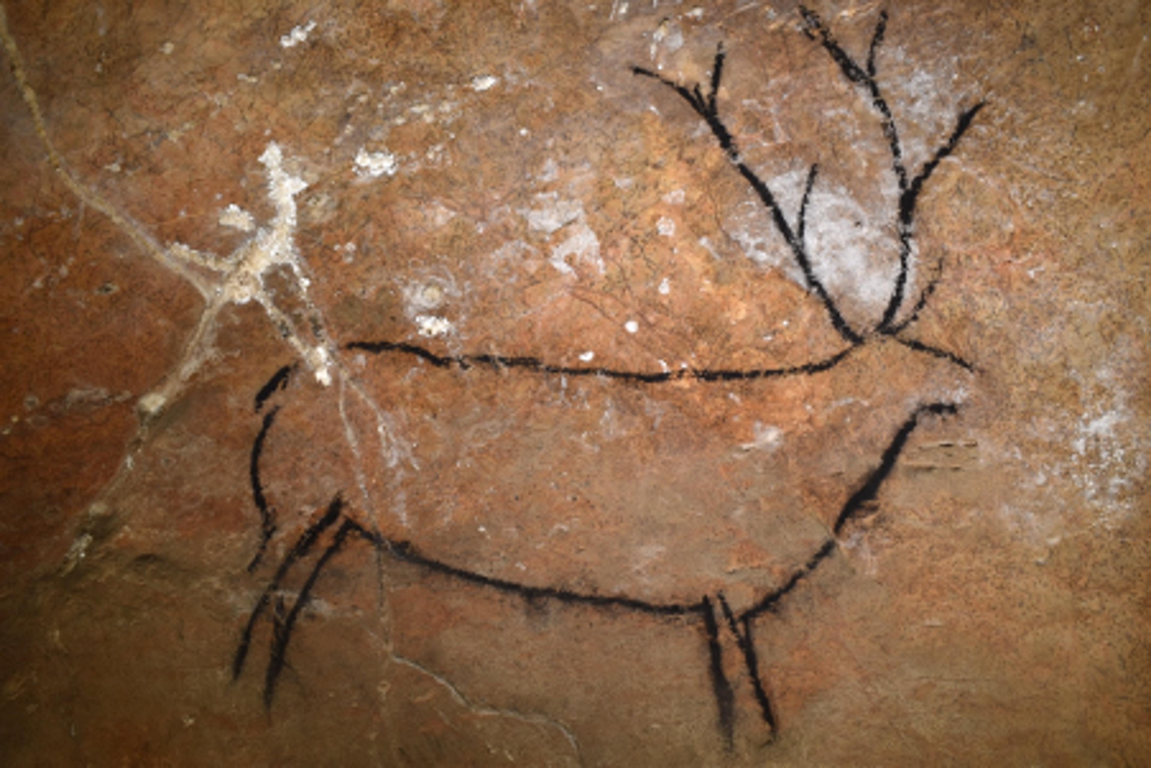 Cave painting of a deer with antlers, depicted with simple black lines on a brown, textured rock surface.