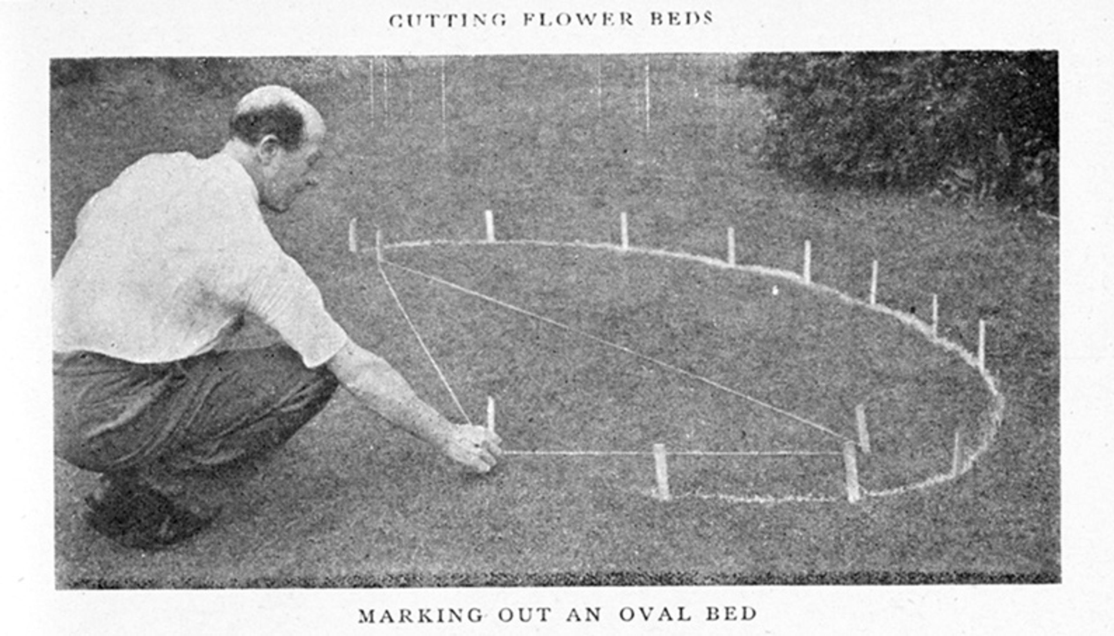 Vintage black-and-white photo of a man marking out an oval flower bed on grass using string and pegs, as part of garden planning.