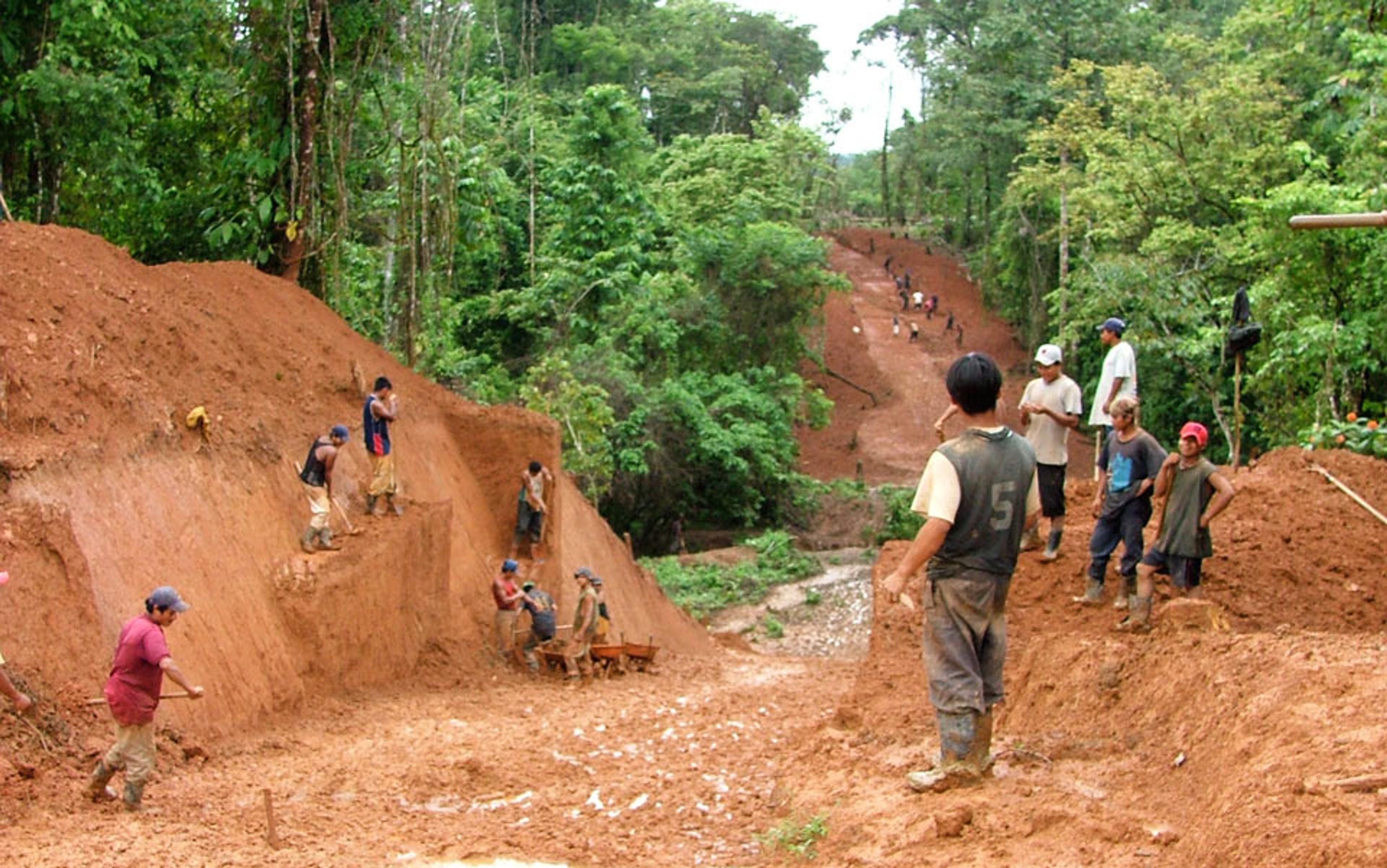 Photo of workers in a jungle clearing digging a wide dirt path, surrounded by lush green trees and vegetation.