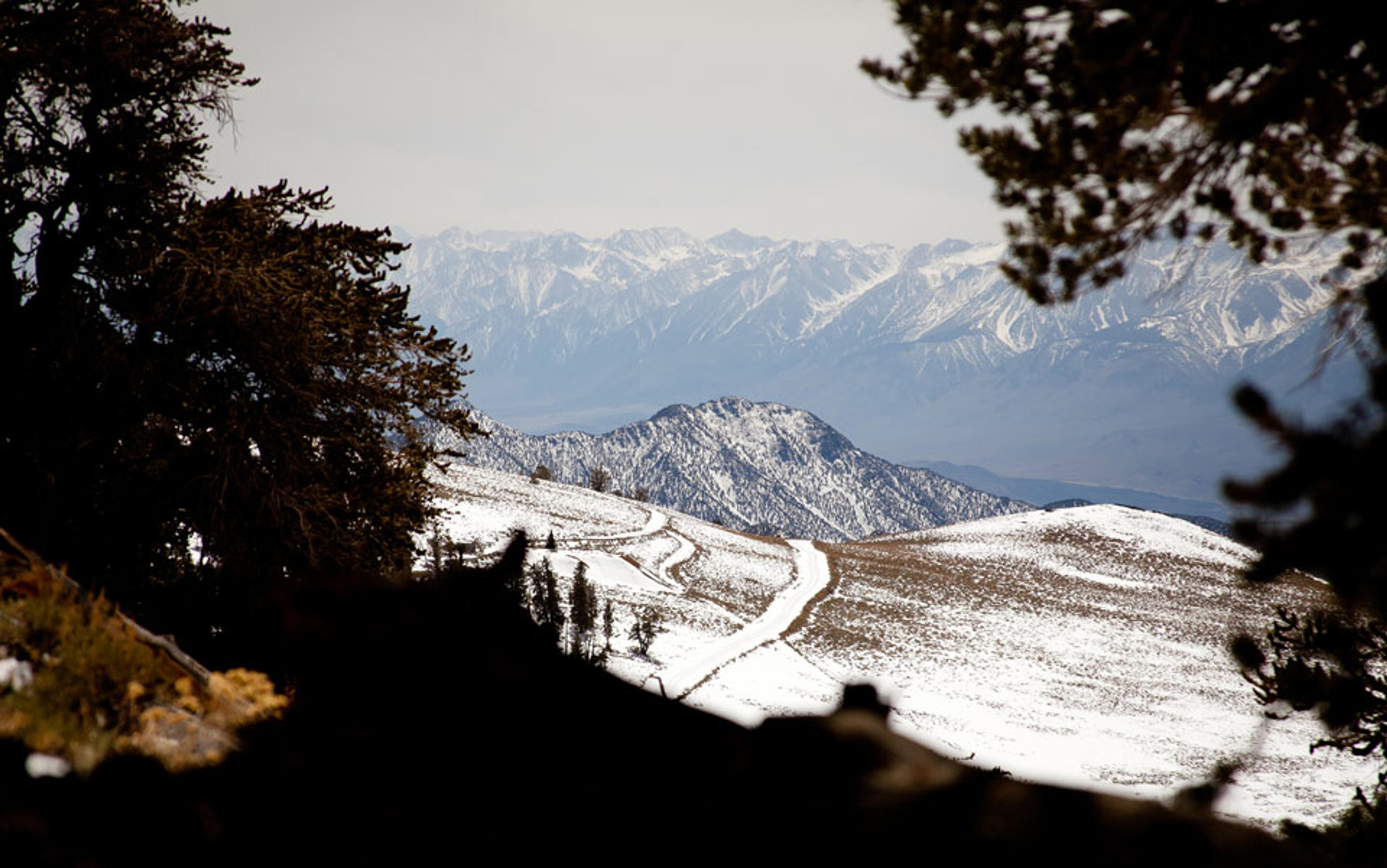 A photo of a snowy mountain landscape framed by trees with a winding path leading to distant rugged mountains under a cloudy sky.