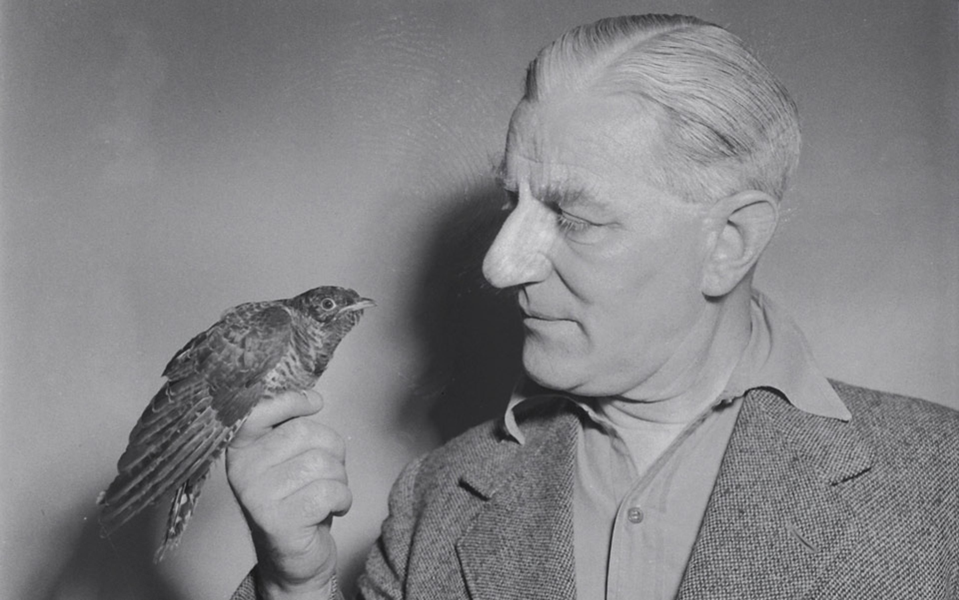 Black-and-white photo of an elderly man holding a bird on his fingers, looking at it intently with a neutral background.