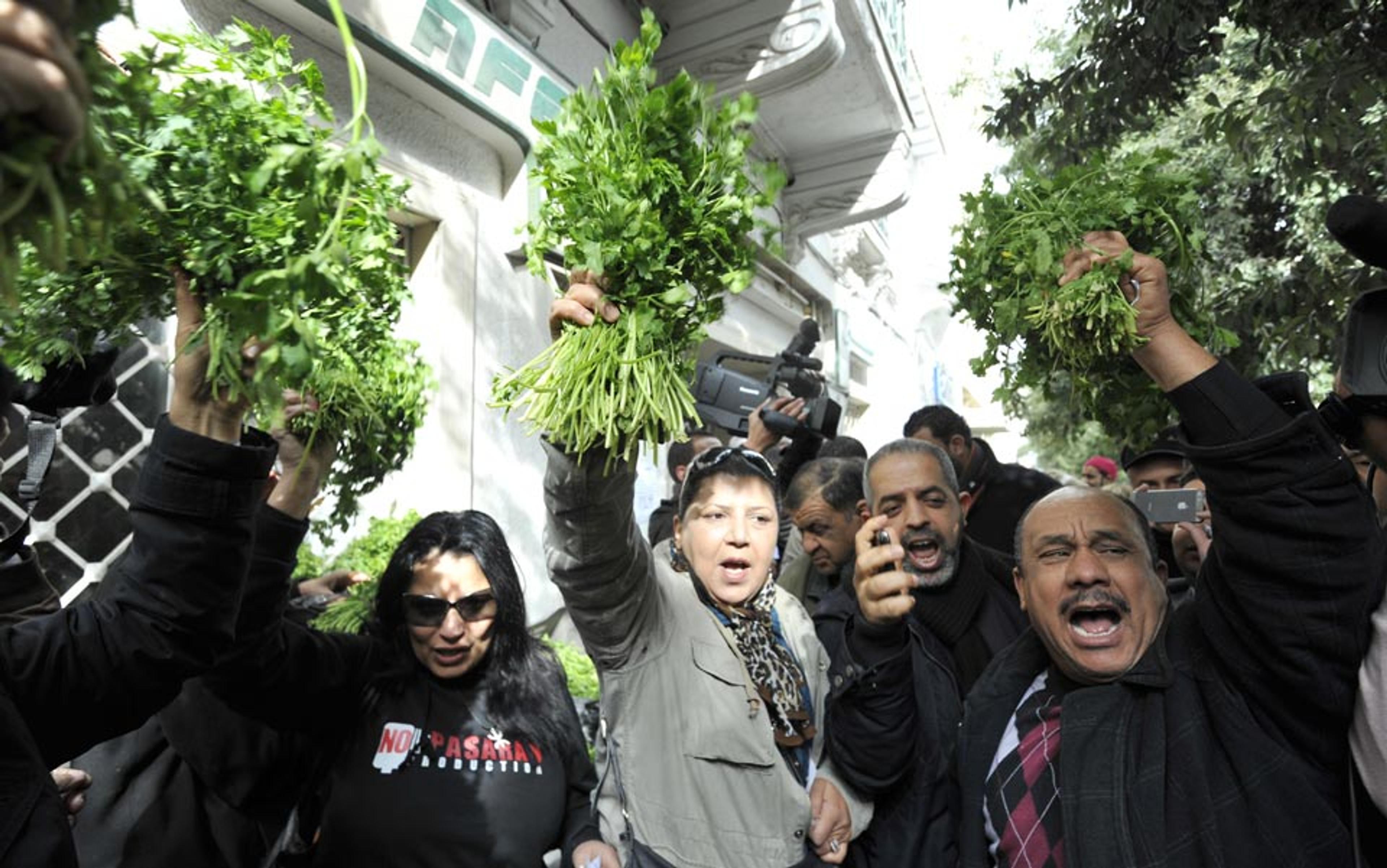 A group of protesters outdoors holding up bunches of green herbs. They appear energetic and are surrounded by cameras.