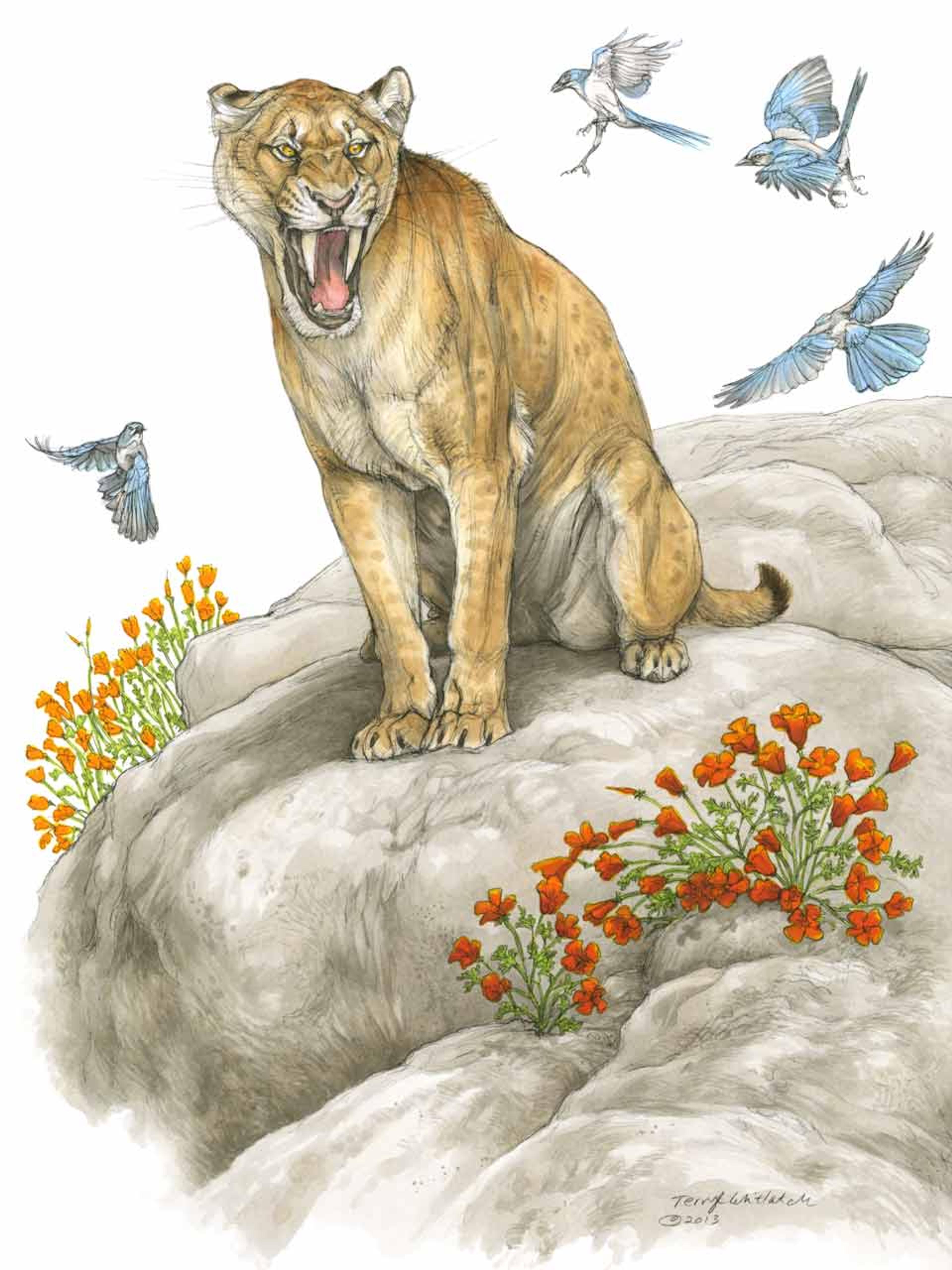 Illustration of a snarling lioness on a rocky surface with orange flowers and blue birds flying around.