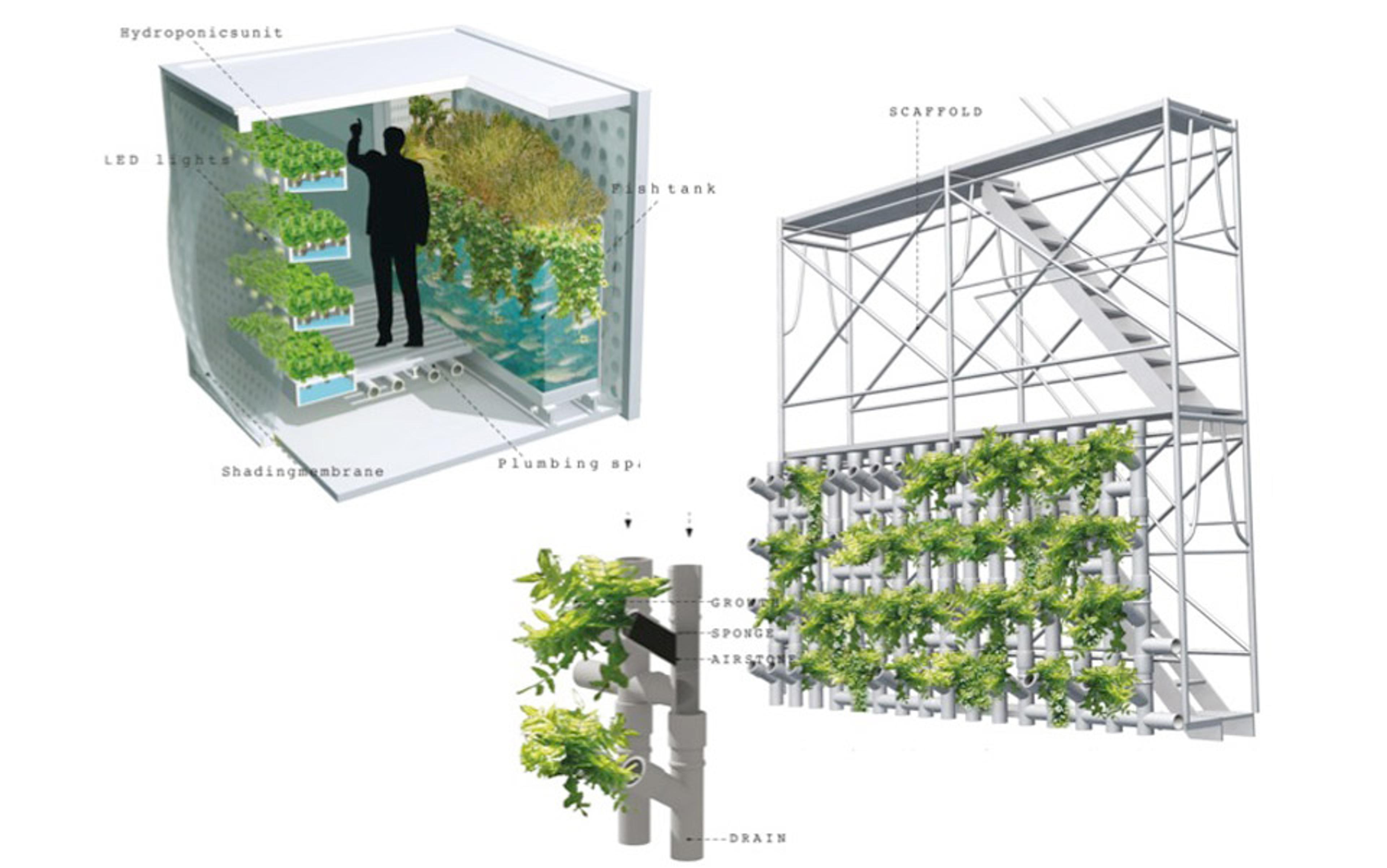 Illustration of a vertical hydroponic system with LED lights, fish tank, scaffold, plants and plumbing components.