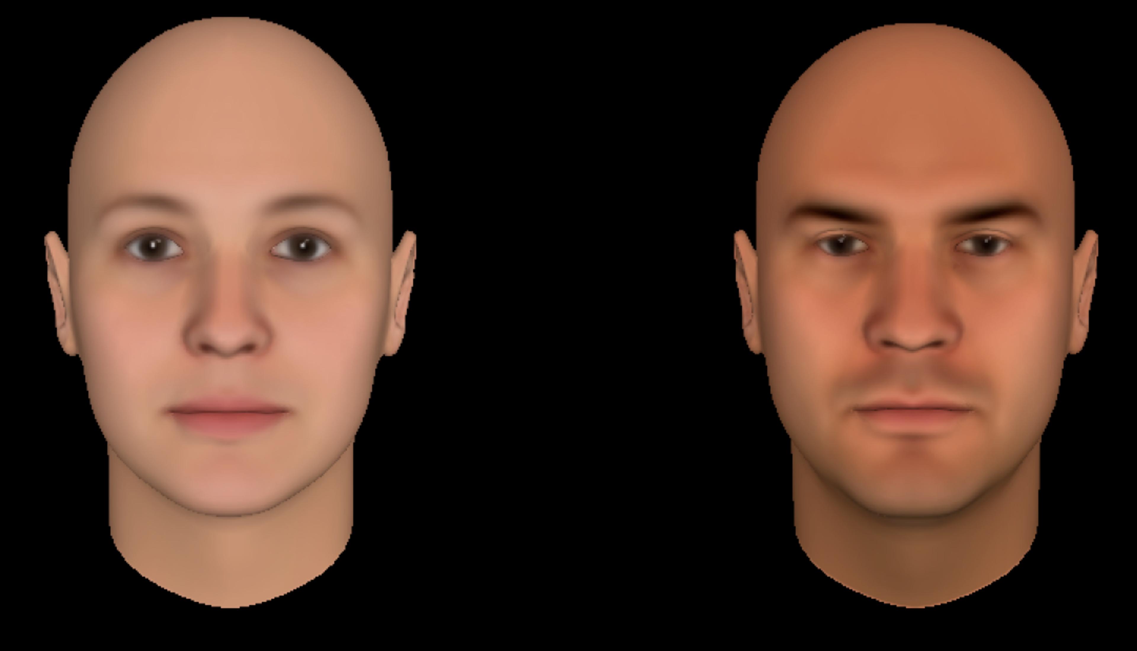 Fig 3. Visualizing impressions of dominance. Based on the work of Oosterhof & Todorov (2008).