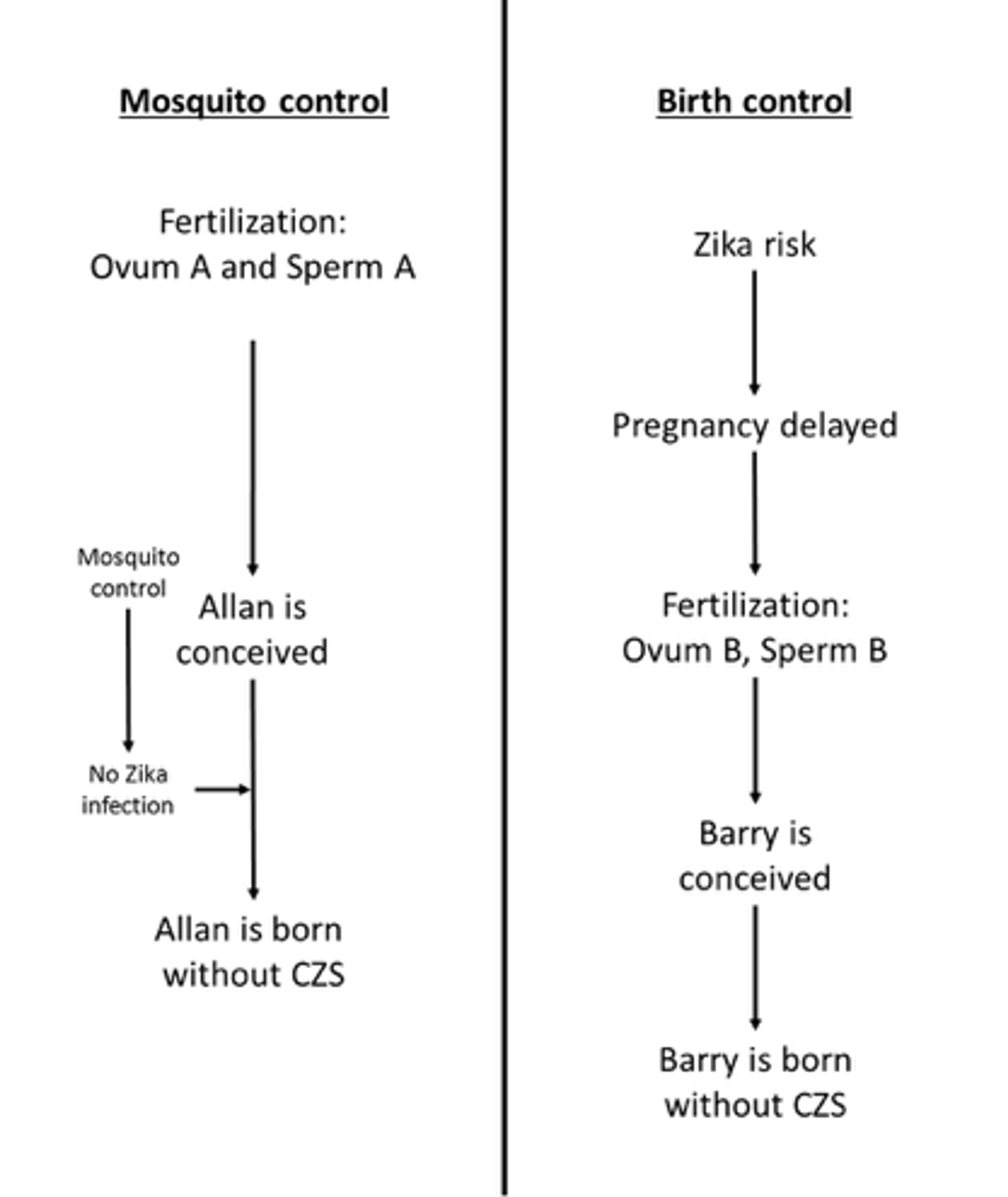 Diagram comparing mosquito control and birth control methods for Zika prevention and their outcomes, with flowchart elements.