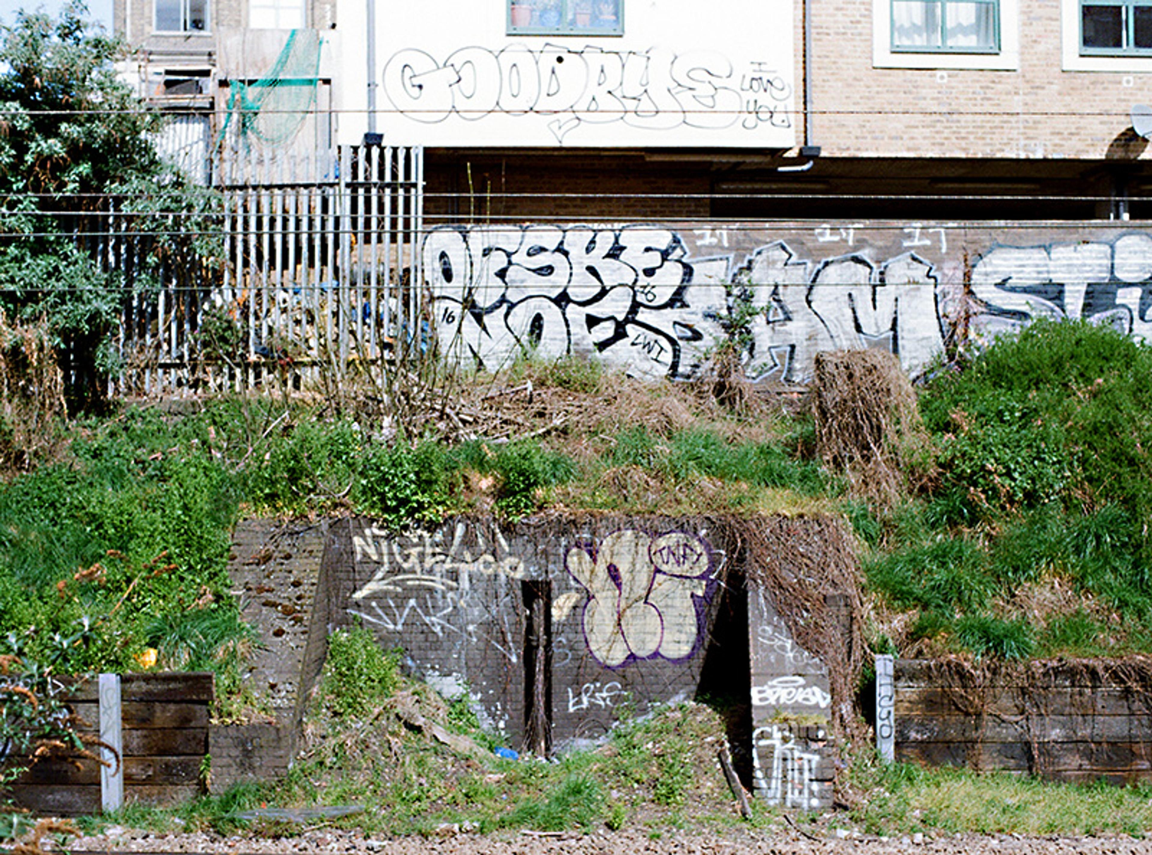 Photo of a graffiti-covered wall with overgrown grass and buildings in the background.