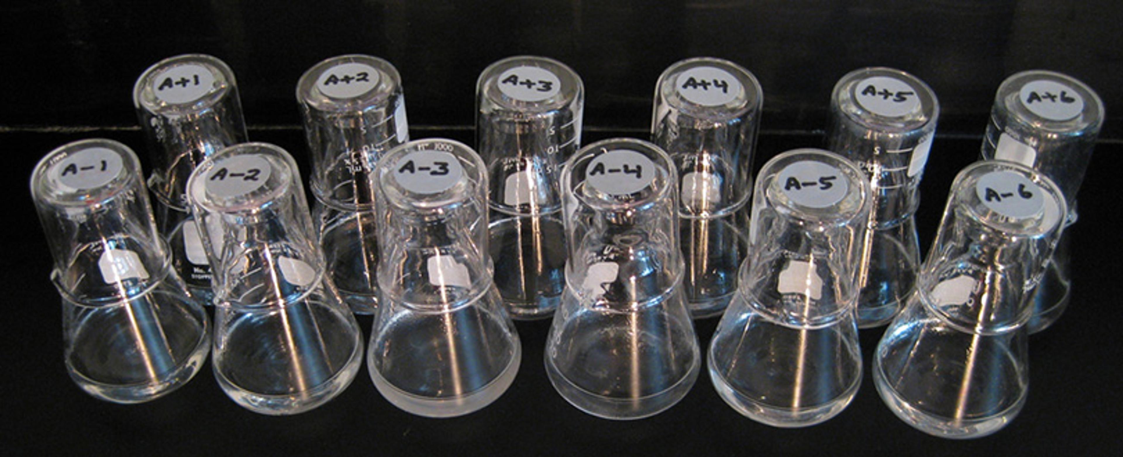 Photo of twelve upside-down labelled glass flasks on a black surface in a laboratory setting.