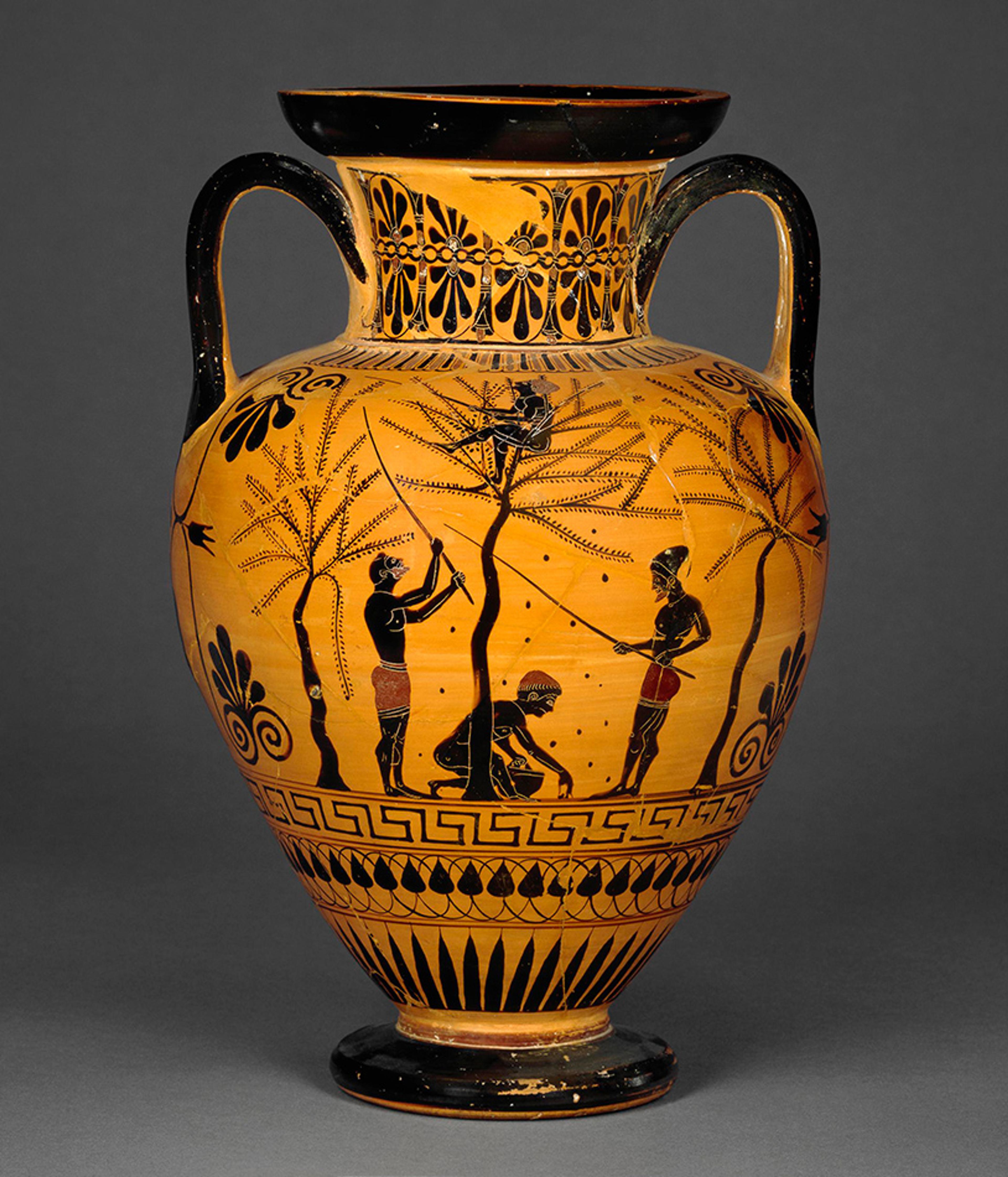 Ancient Greek pottery with black-figure painting depicting four figures gathering olives from olive trees on a yellow background.