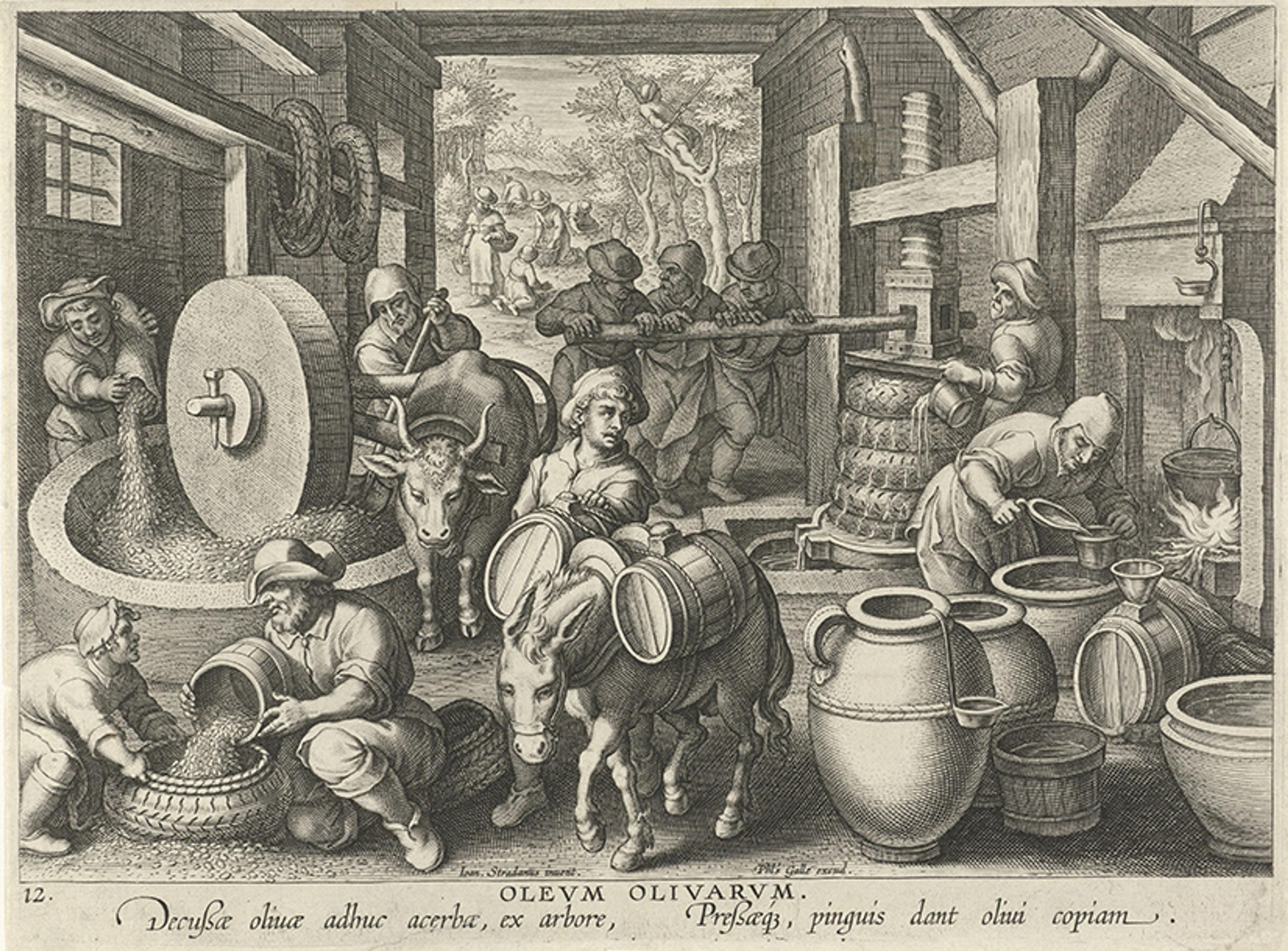 Engraving of a 16th-century olive oil mill with people and animals working, showing traditional olive-pressing methods and tools.