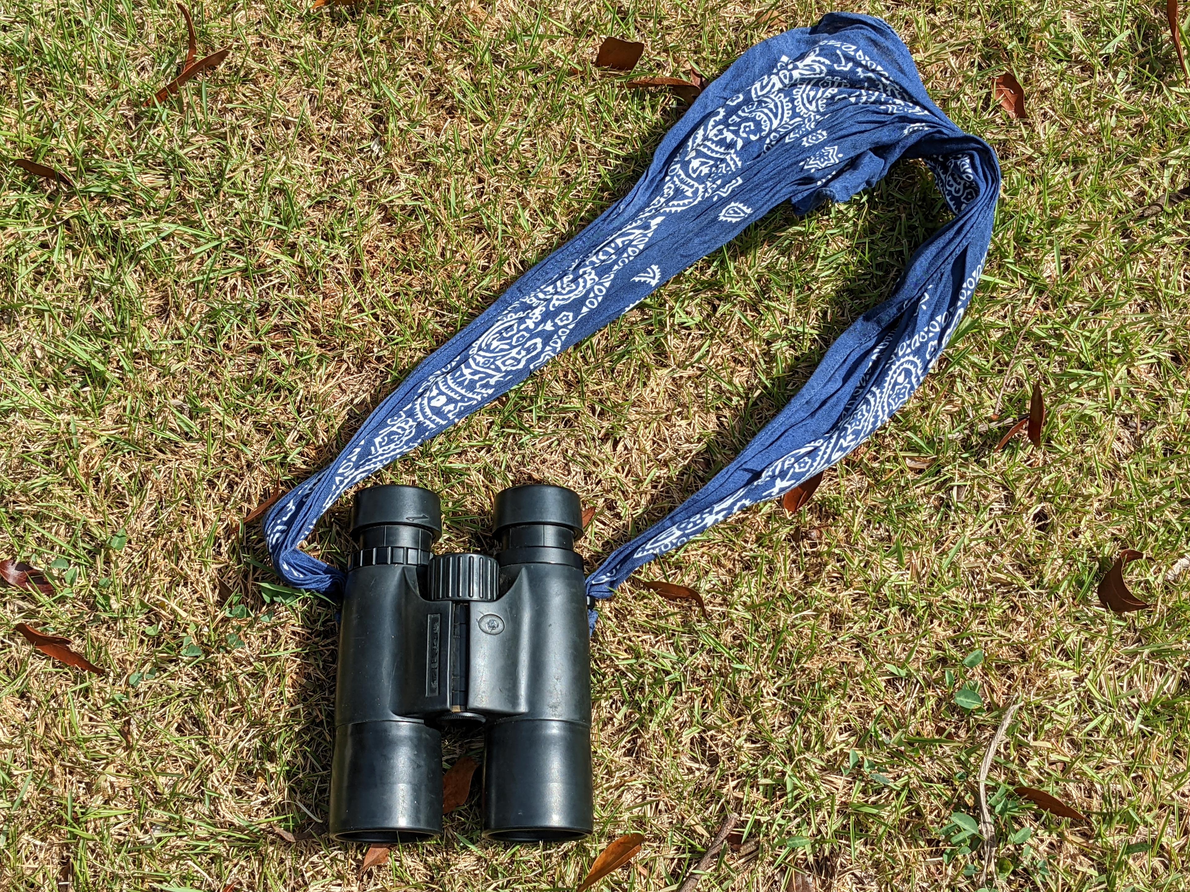 Black binoculars on grass with a blue bandana strap.