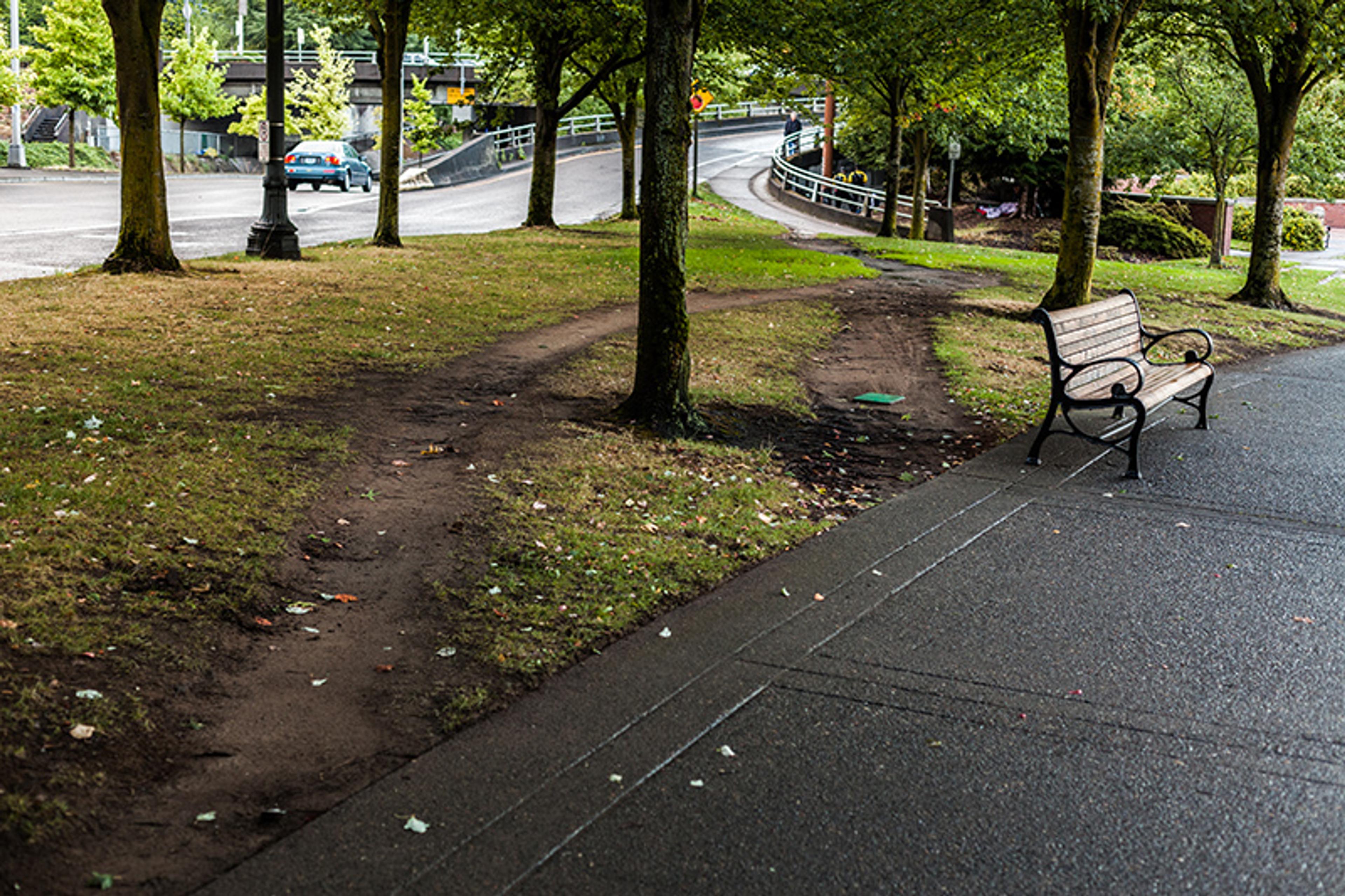 Several dirt tracks cut through a grassy park, tree-filled park, branching off from a paved path.