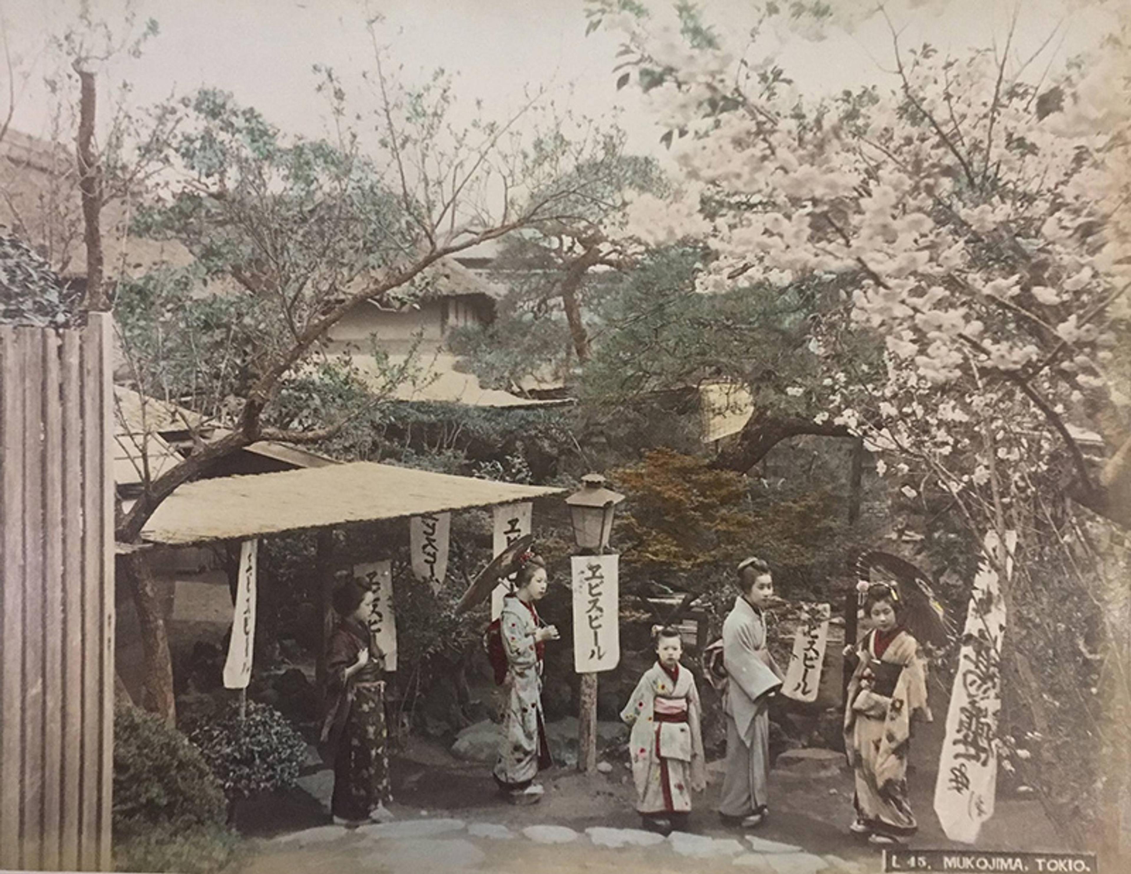 Hand-coloured photo of people in traditional Japanese attire in a garden with cherry blossoms.