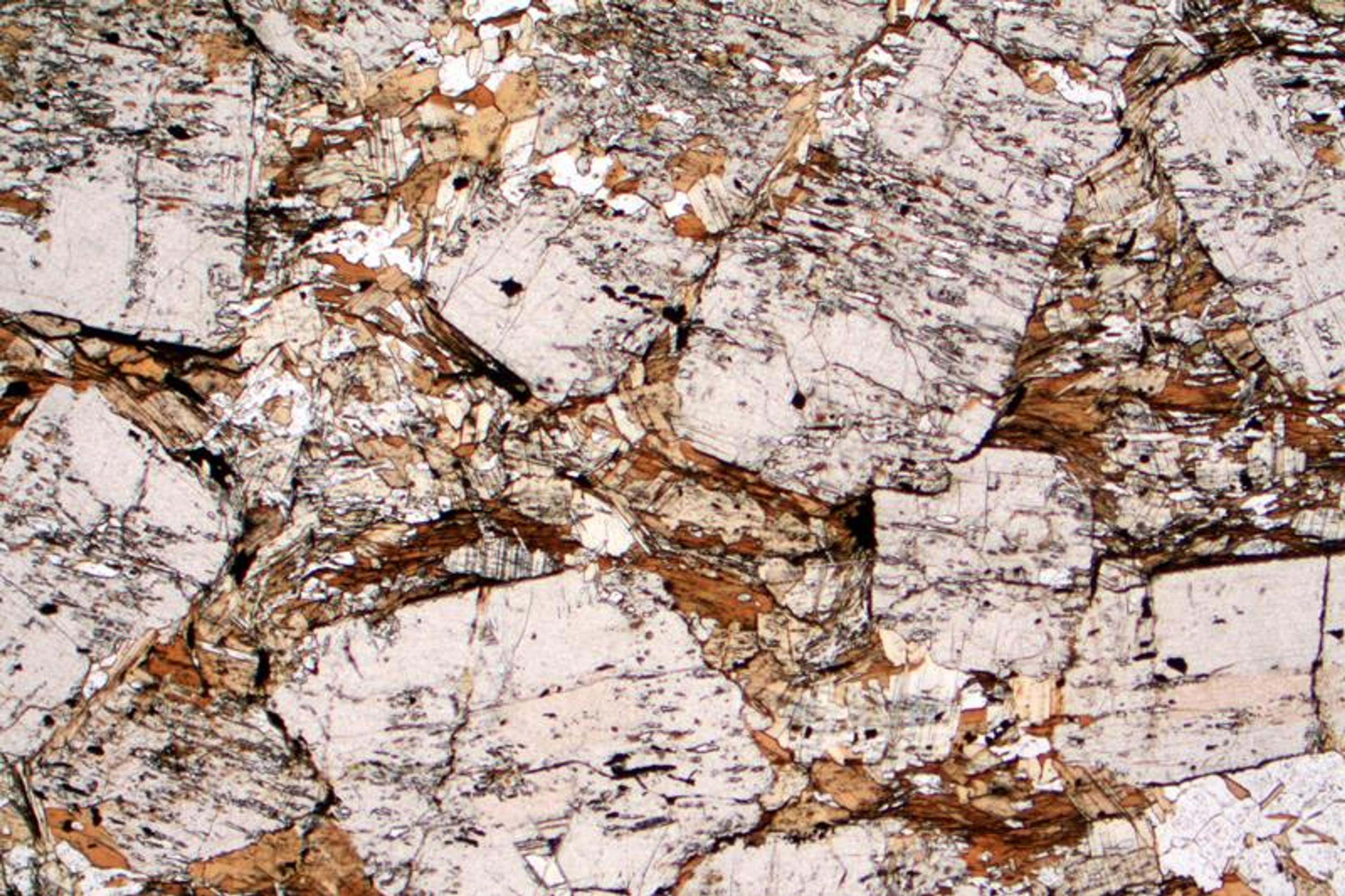 Close-up photo of a rock texture with light and dark mineral patterns in beige brown and white shades.