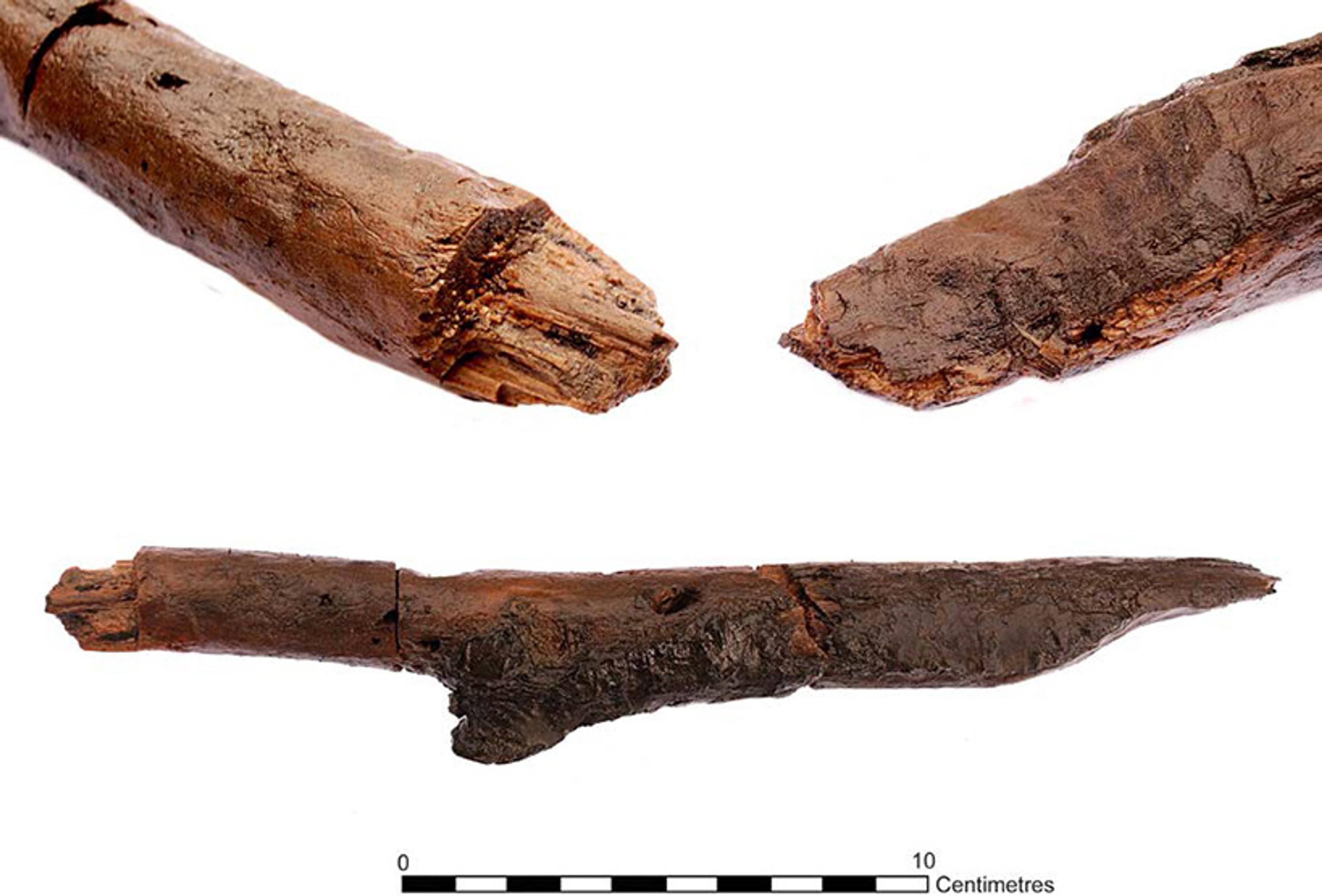An ancient wooden item with pointed ends and a scale for measurement in centimetres below.