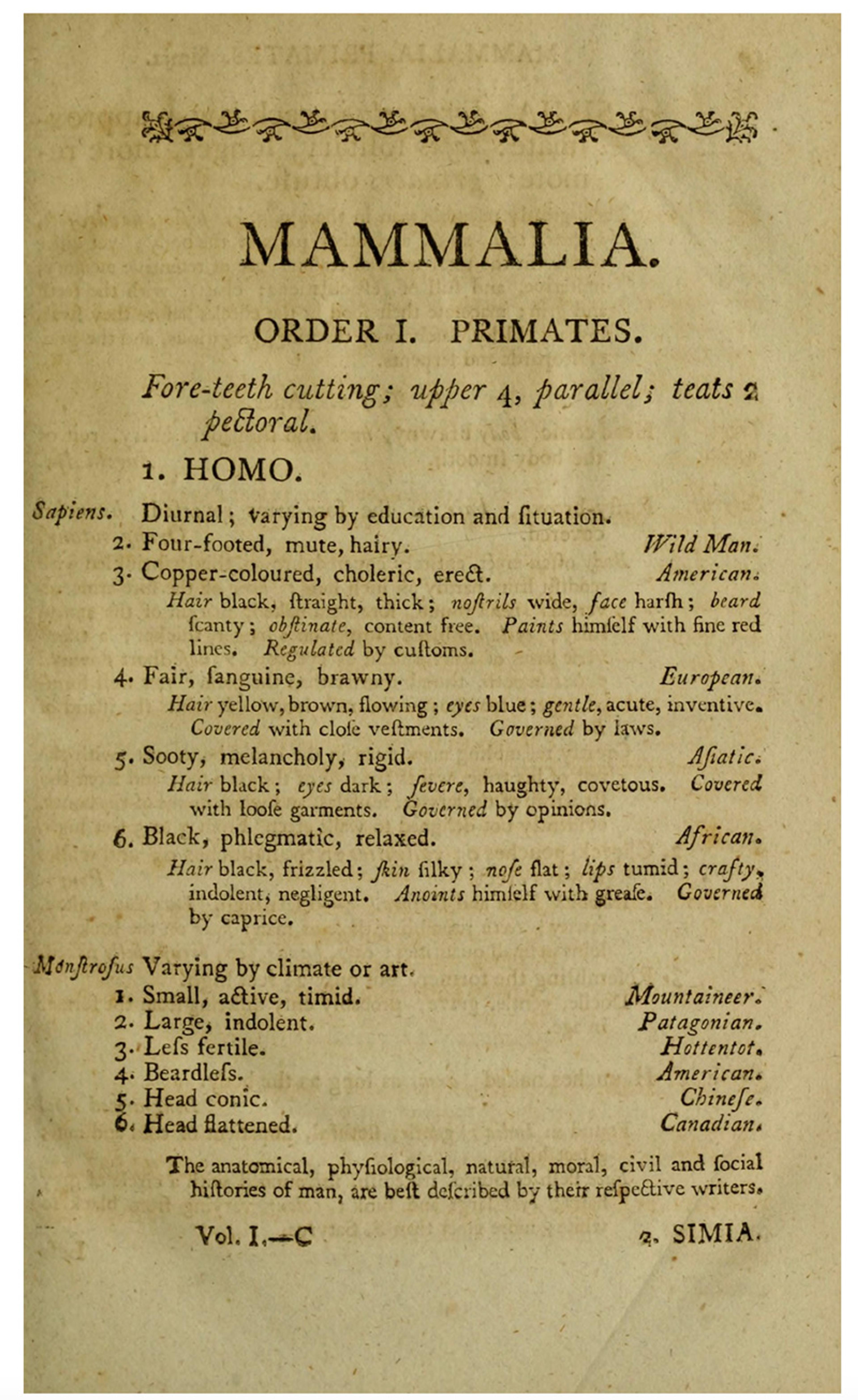Image of a historical text page titled “Mammalia” detailing classifications of humans in order Primates.