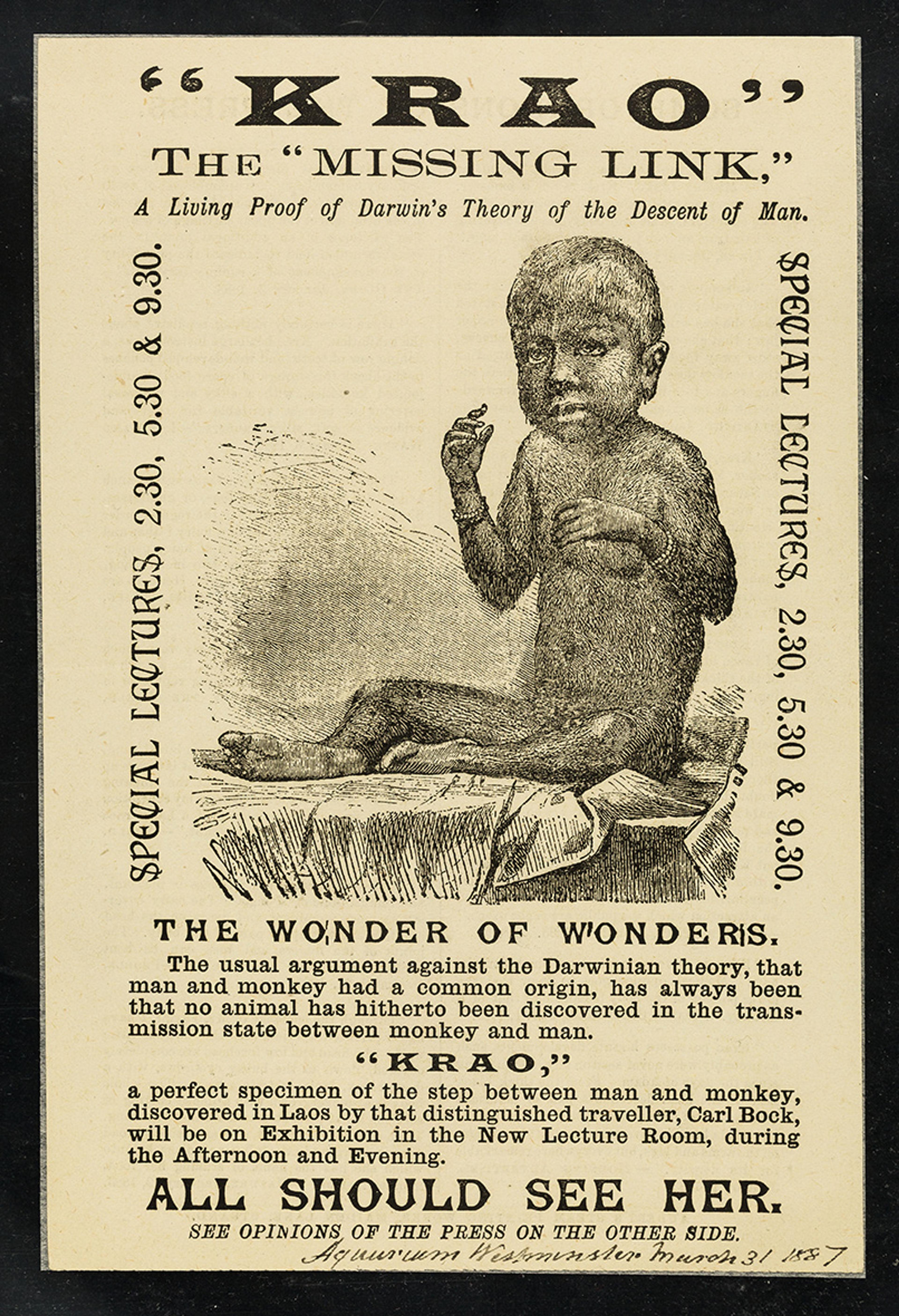 Historical poster depicting “Krao the Missing Link,” promoting a 19th-century exhibit linking human evolution to apes.