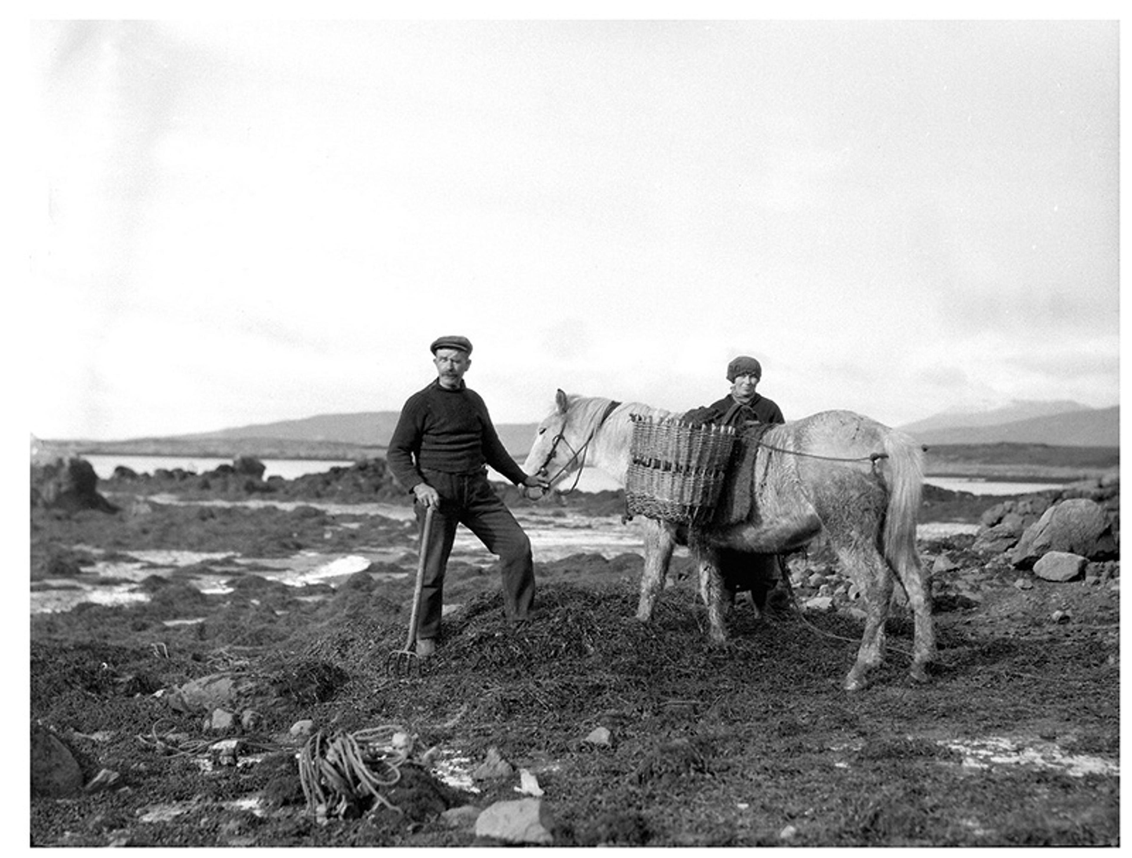 Black and white photo of two men with a pony carrying baskets on a rocky landscape near the sea.