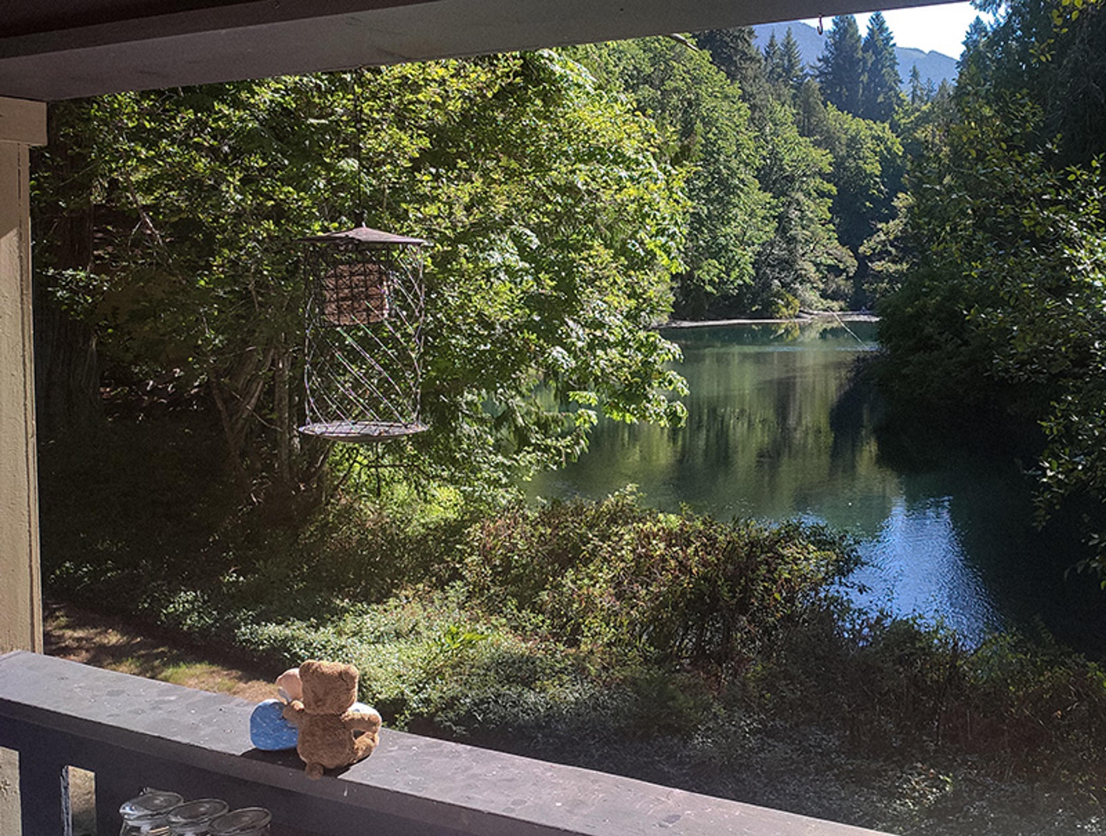 Two teddy bears arranged on a deck railing overlooking a scenic river view with lush trees.