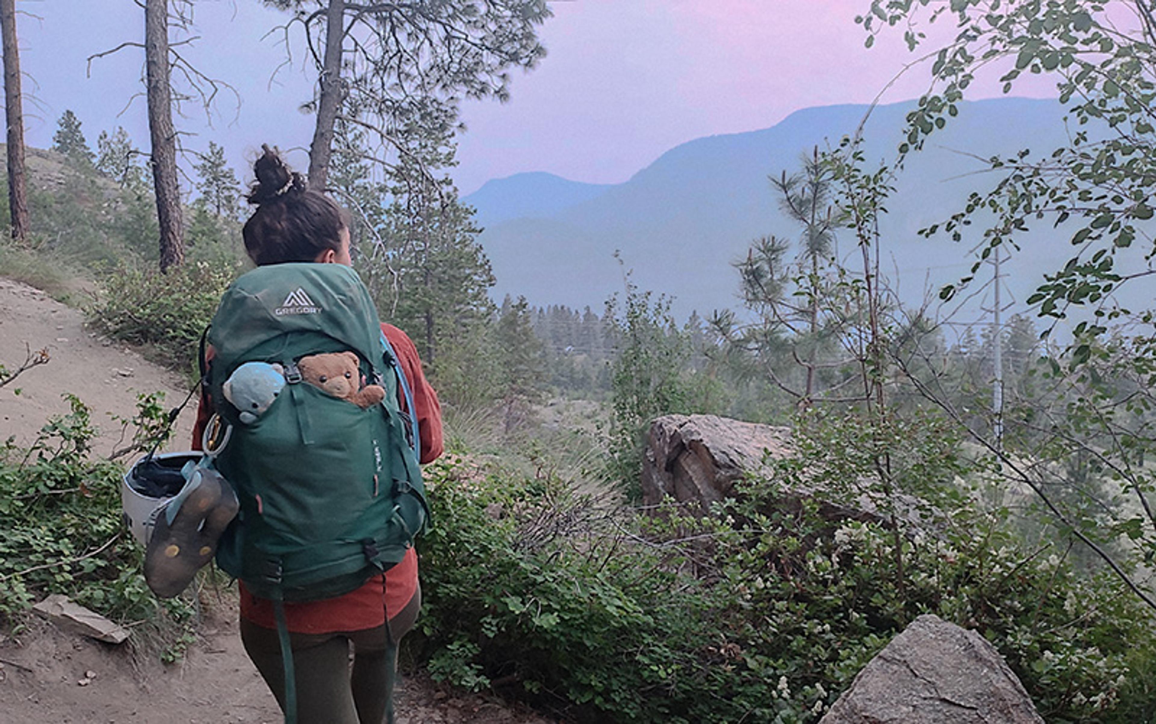 A person hiking on a forest trail with a green backpack that has two teddy bears poking out the back.