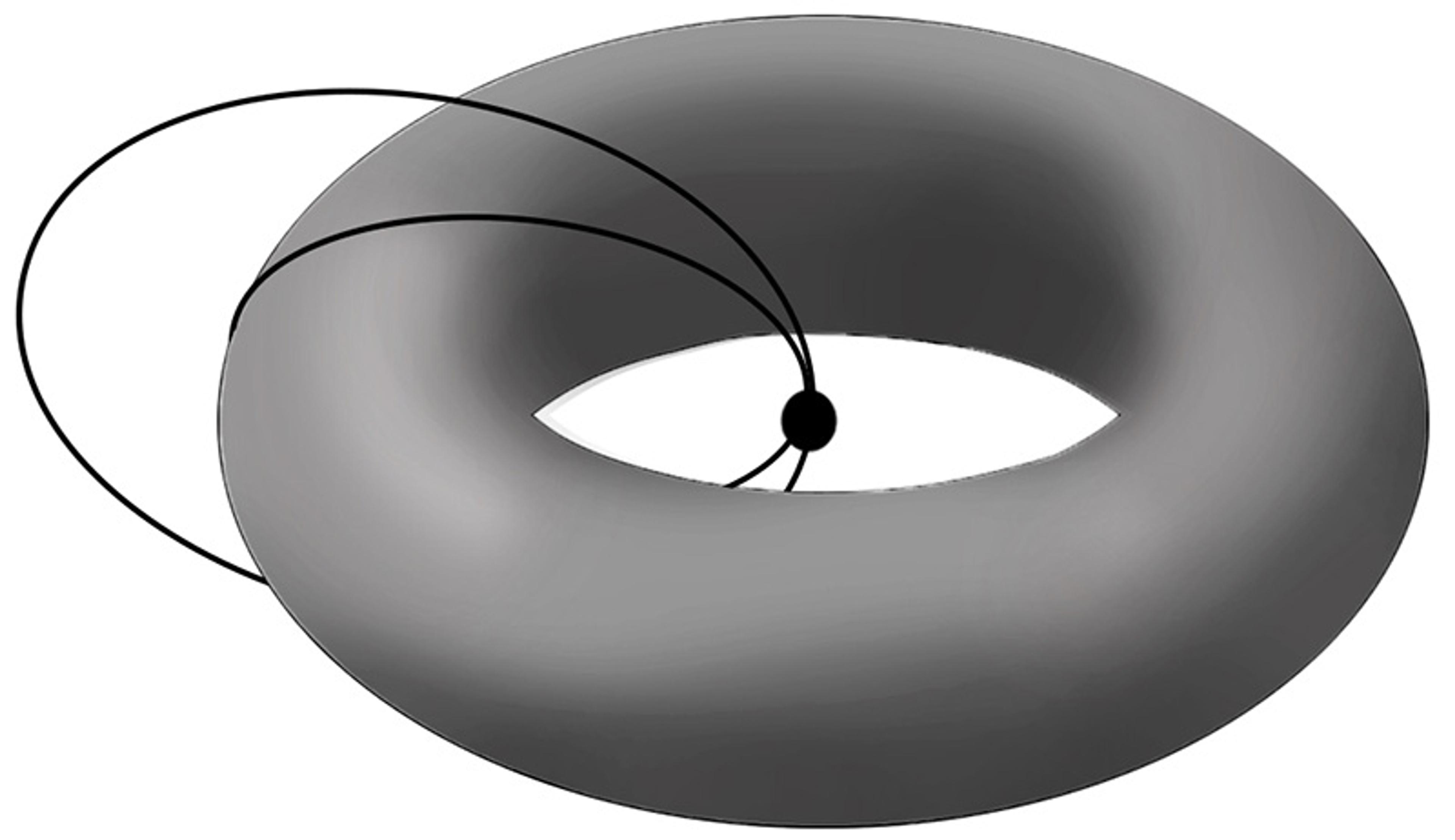 Illustration of a grey torus with intersecting lines and a central black point representing a mathematical concept.