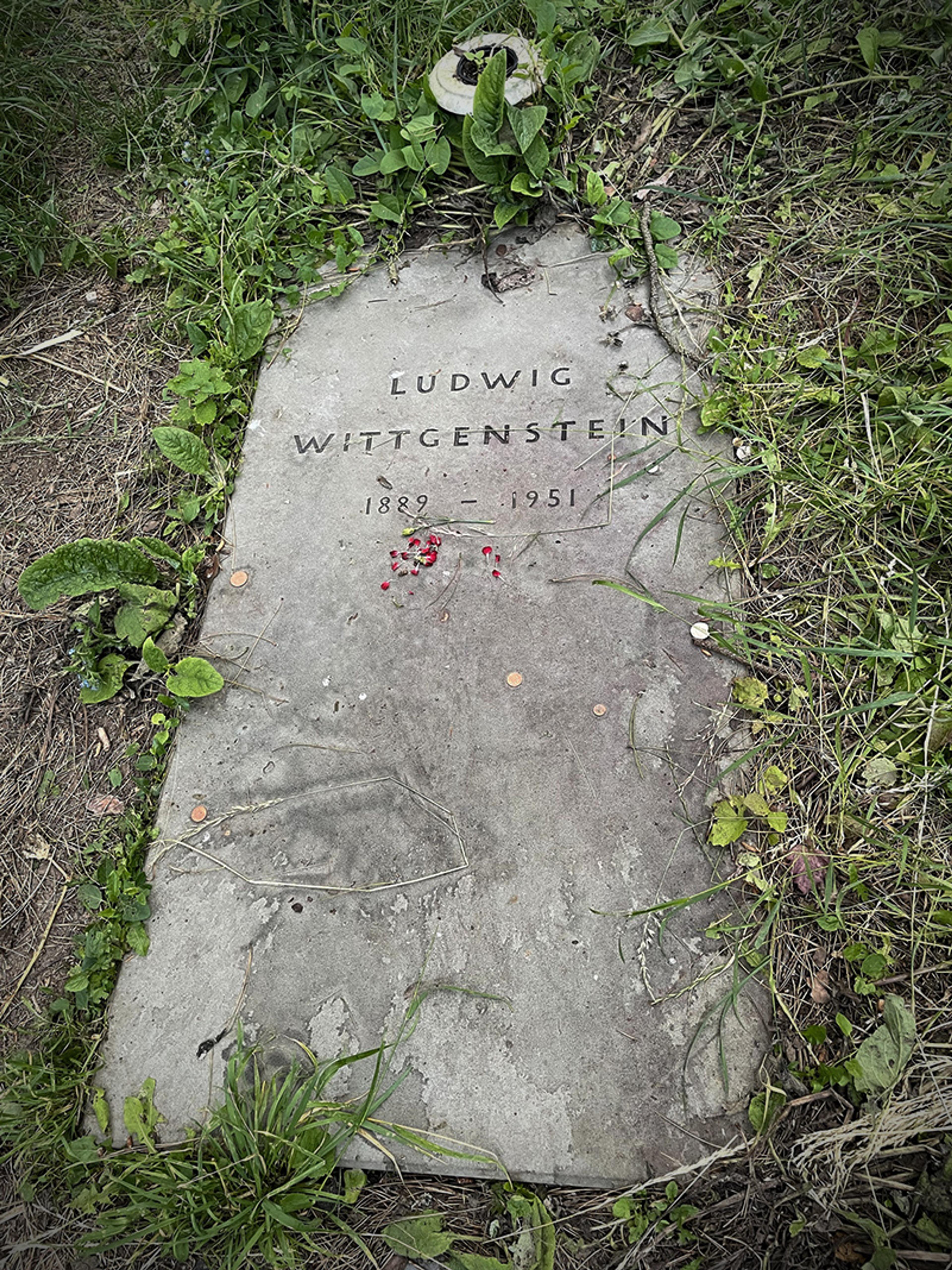 Photo of a weathered gravestone of Ludwig Wittgenstein, surrounded by grass and a few small red flowers.