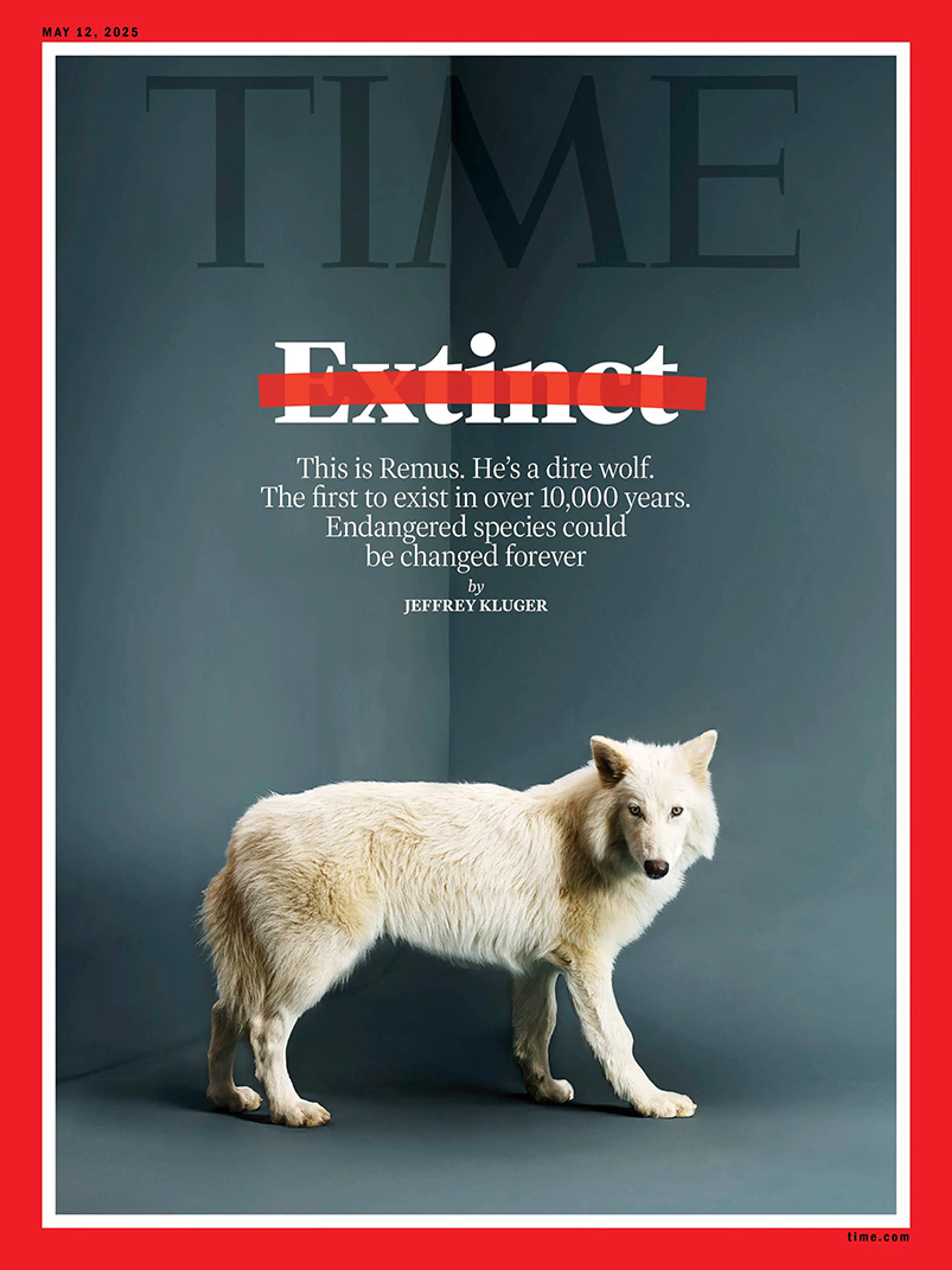 Time magazine cover with a photo of a white dire wolf, headline “Extinct” with strike-through, May 12, 2025.