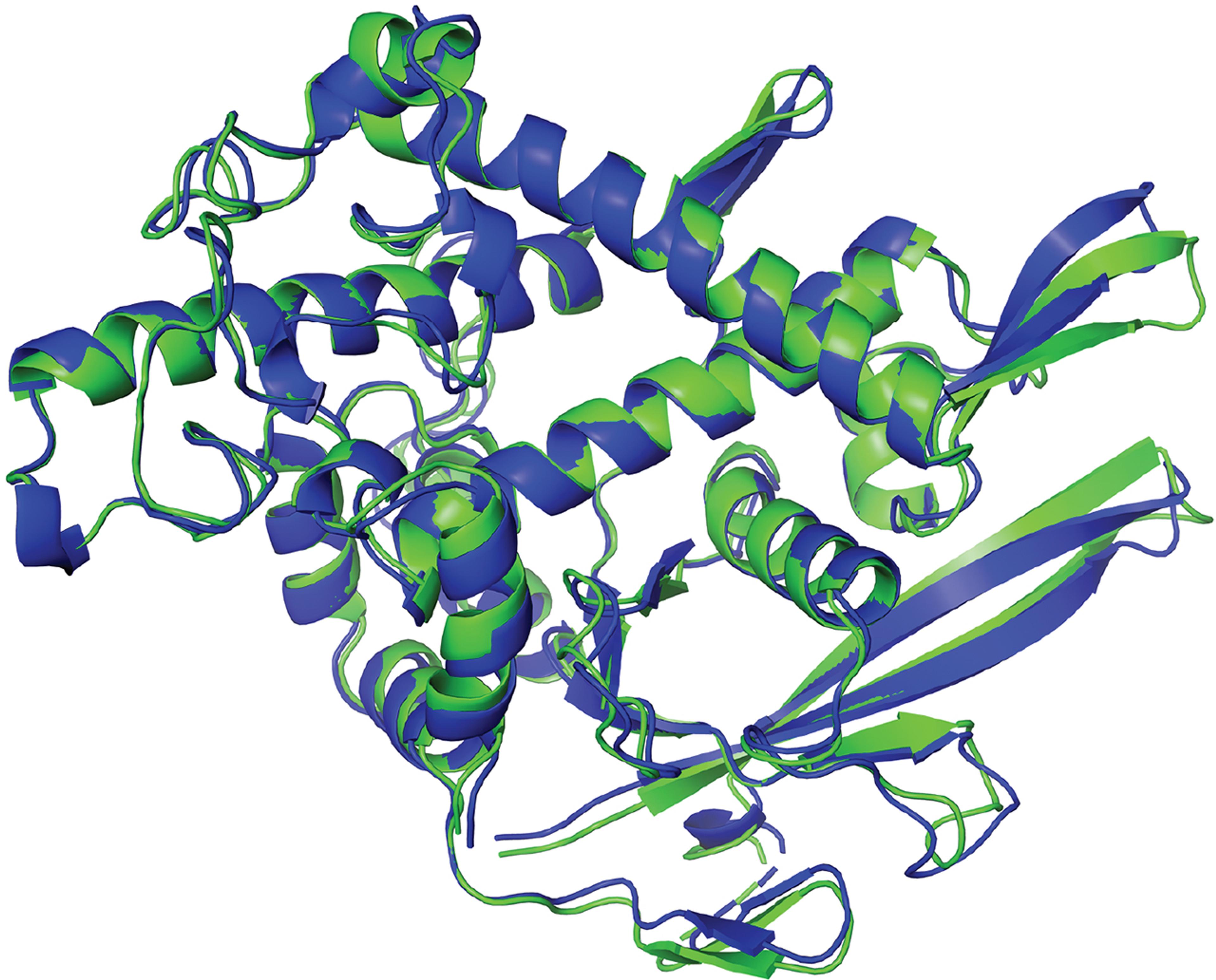 3D rendering of a protein structure with intertwined blue and green spirals and strands on a white background.