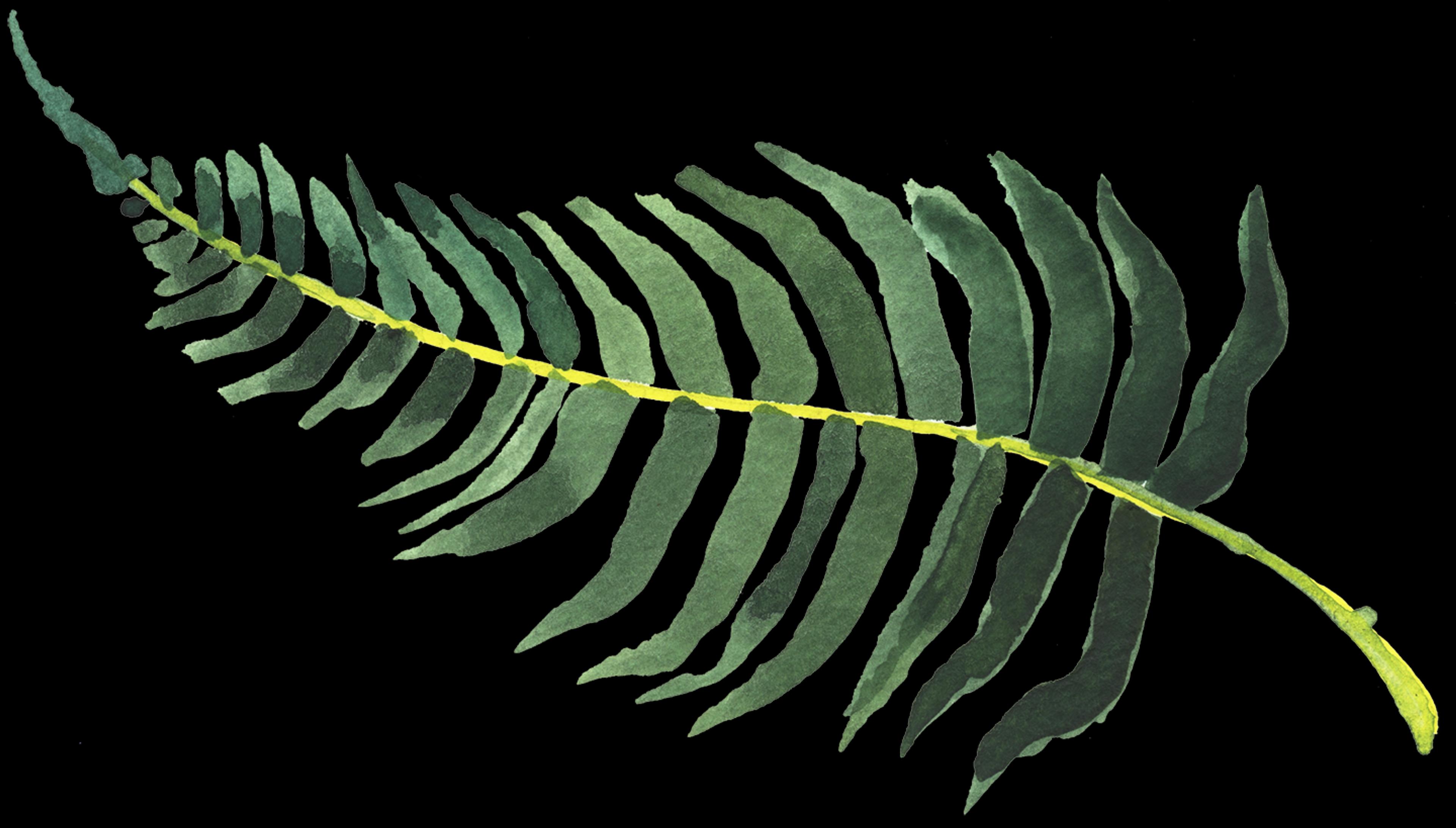 Watercolour painting of a green fern leaf with a yellow stem on a white background.