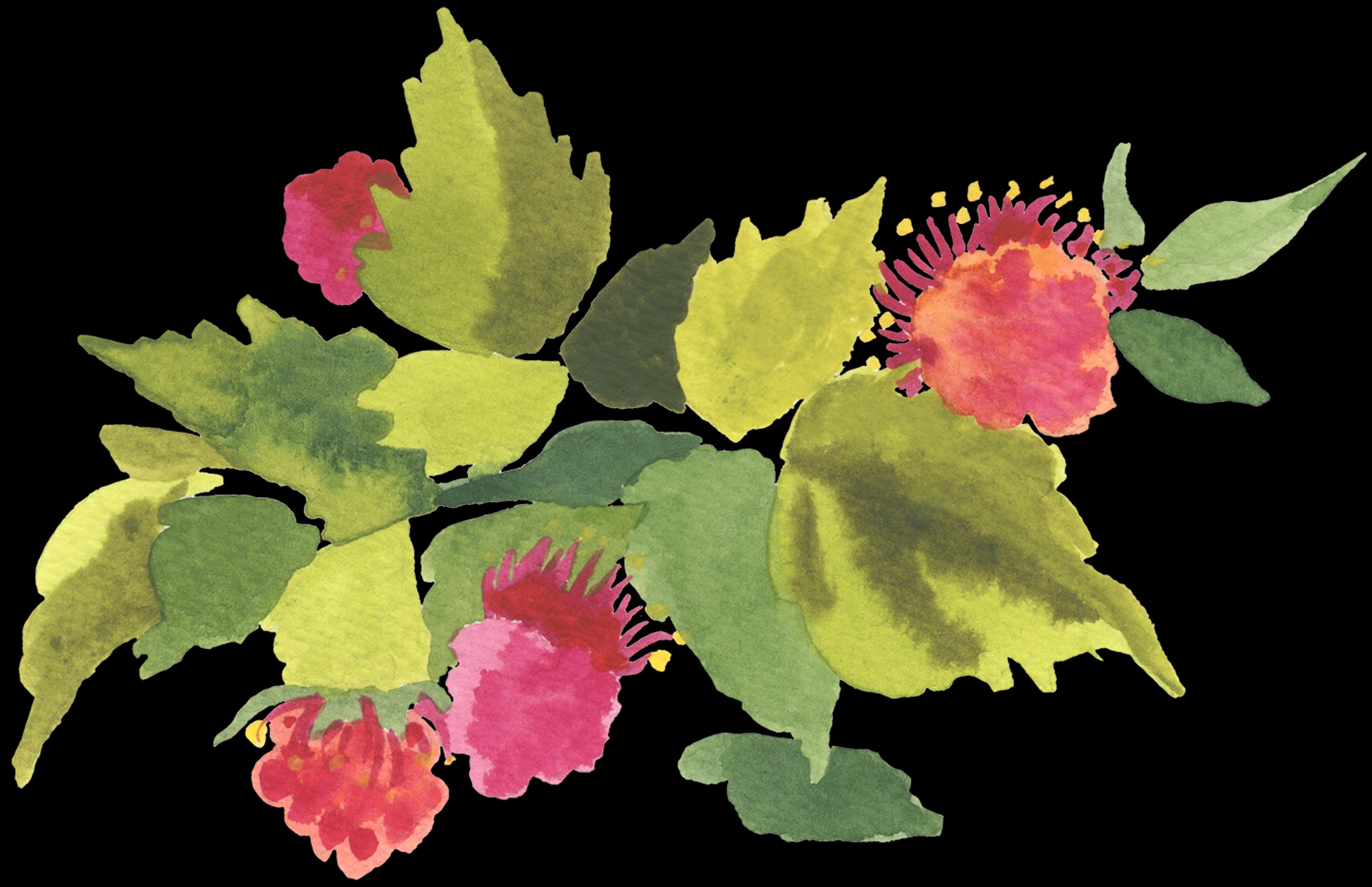 Watercolour painting of green leaves and vibrant red-pink flowers on a white background.