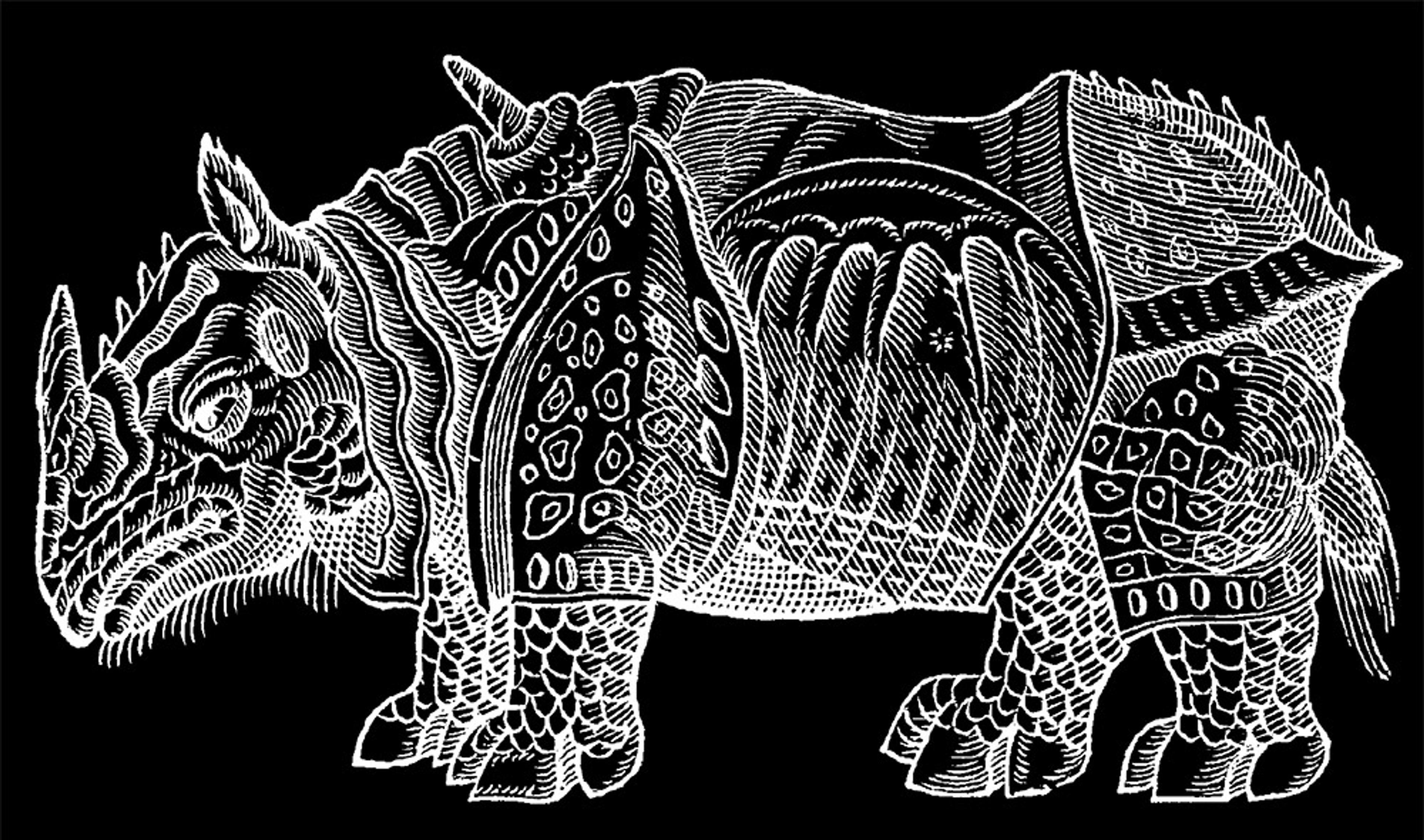 Illustration of a rhinoceros with intricate patterns on its body, in a white outline on a black background.