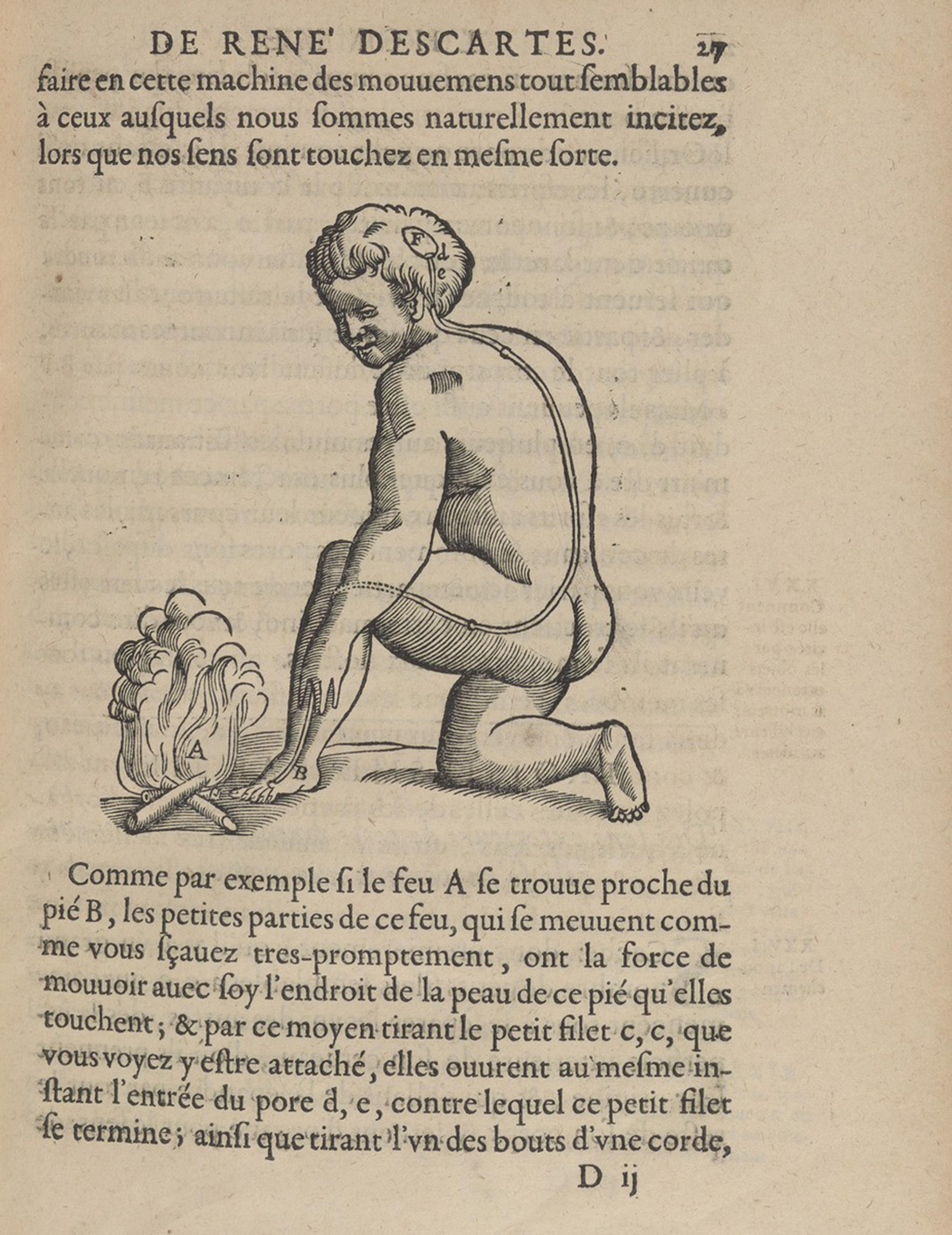 Engraving of a person near a fire illustrating a reflex action from a book by René Descartes, text in French.