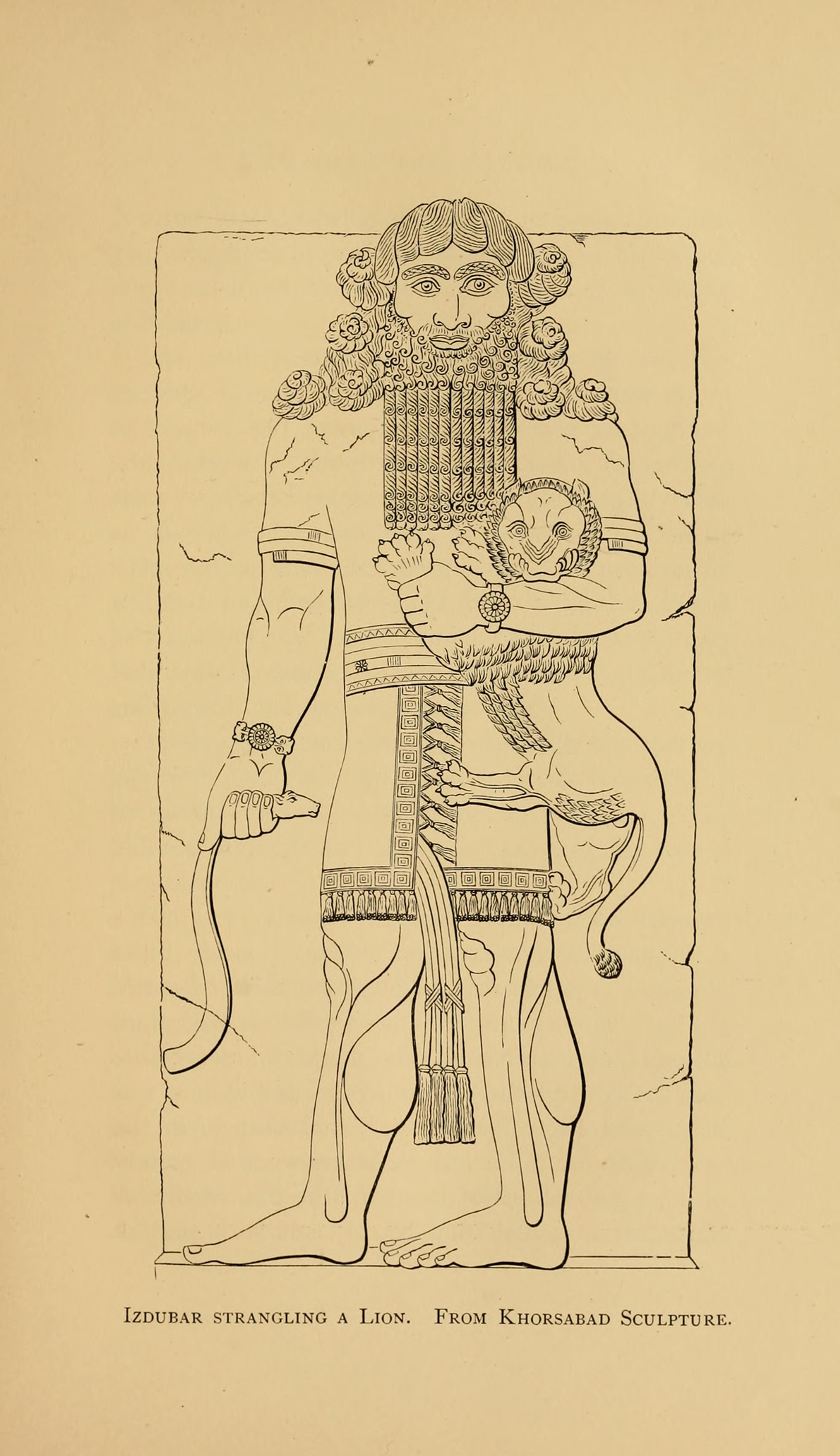 Line drawing of Izdubar strangling a lion from Khorsabad sculpture, featuring intricate details of hair and clothing.