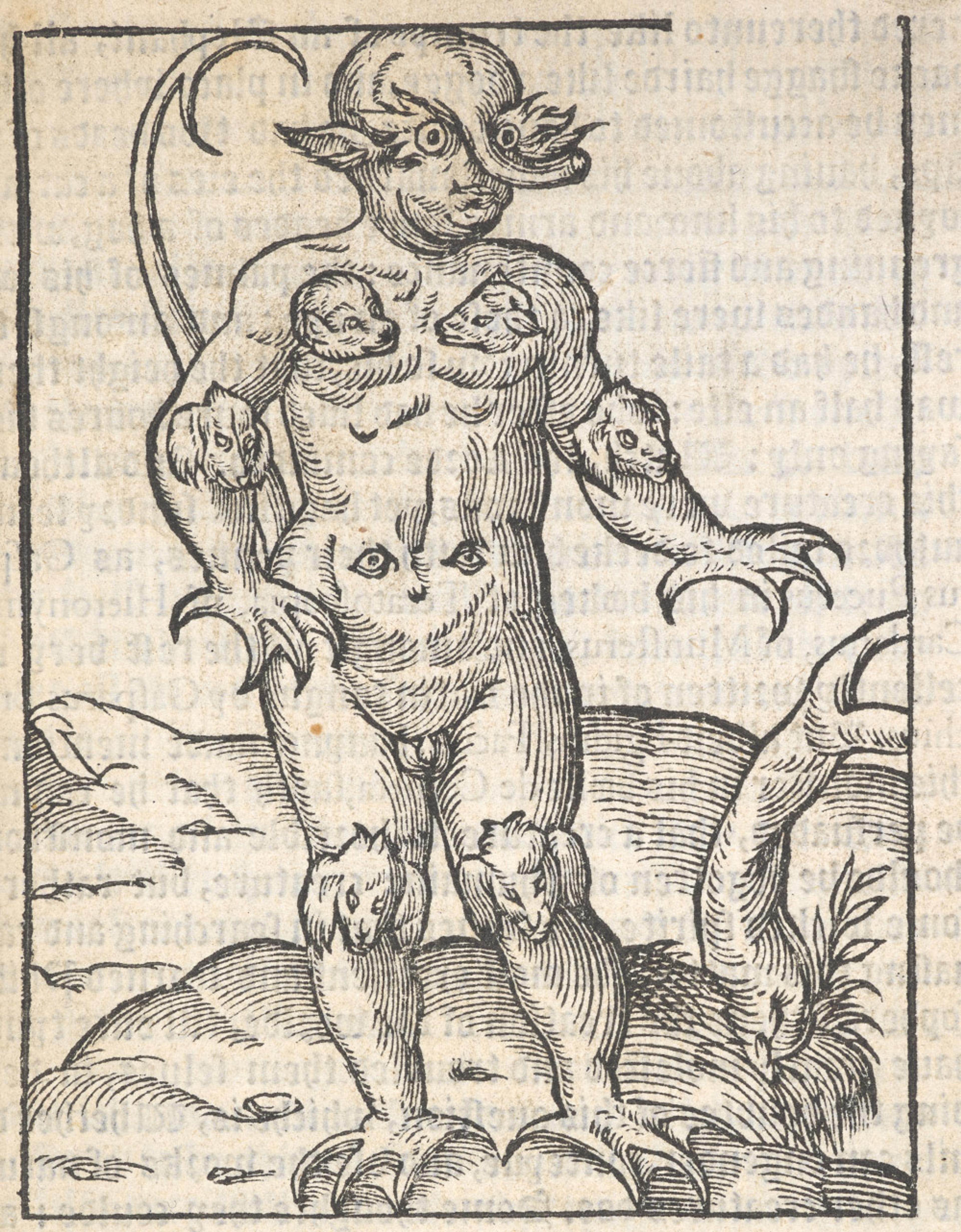 Woodcut of a fantastical creature with multiple heads on its body, claws and a tail, standing on a patch of land beside a tree.