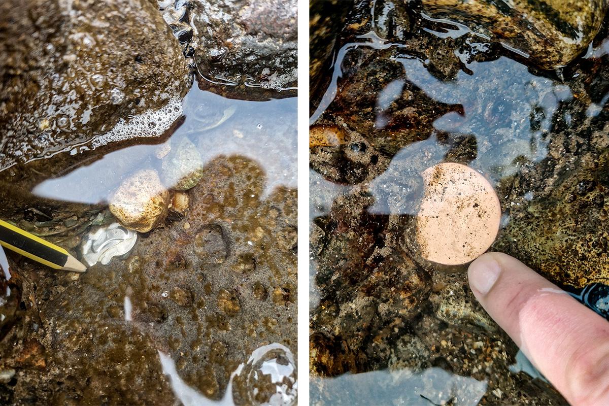 The strange rocks that wouldn’t exist without us | Aeon Essays